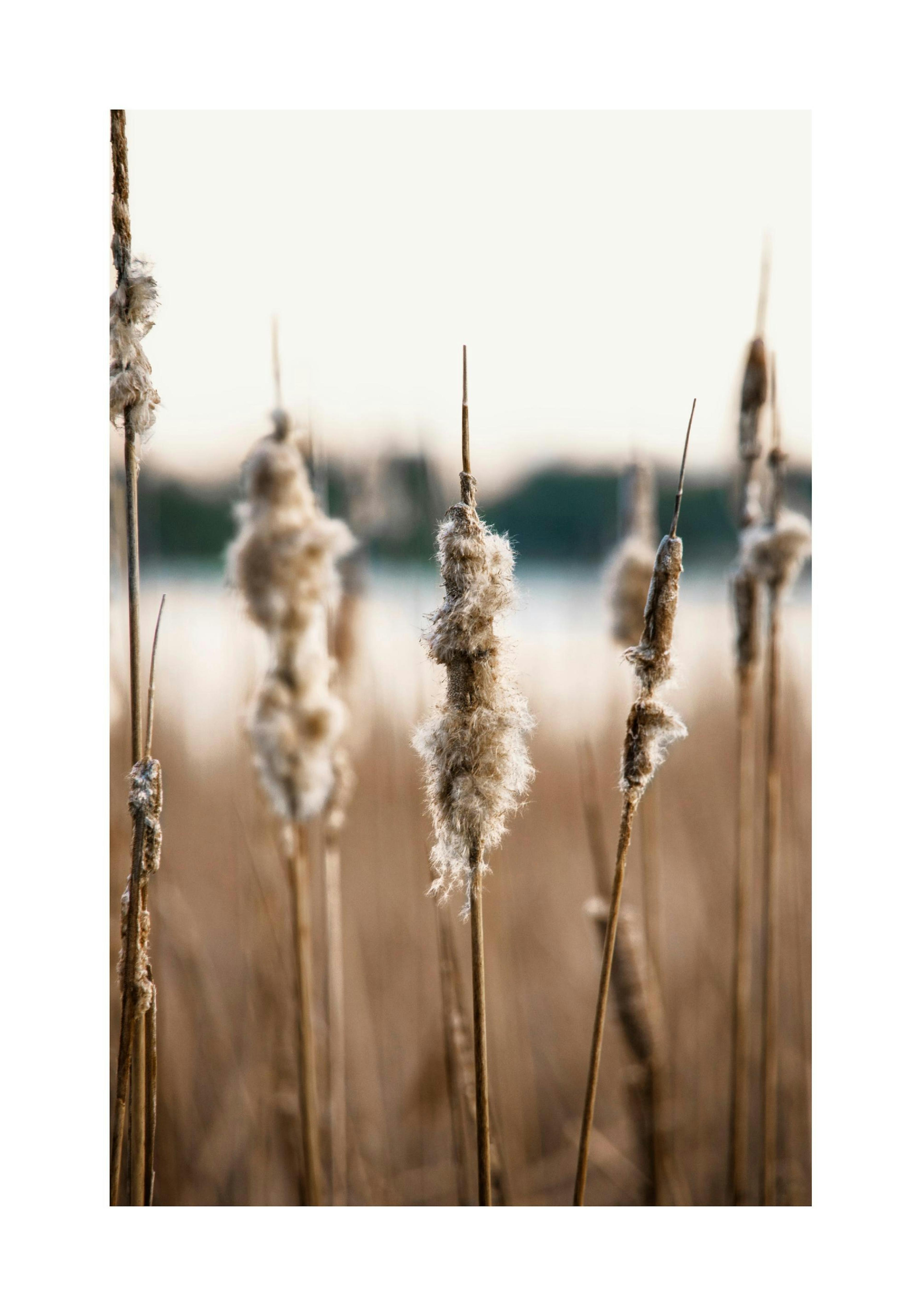 Product image: 1