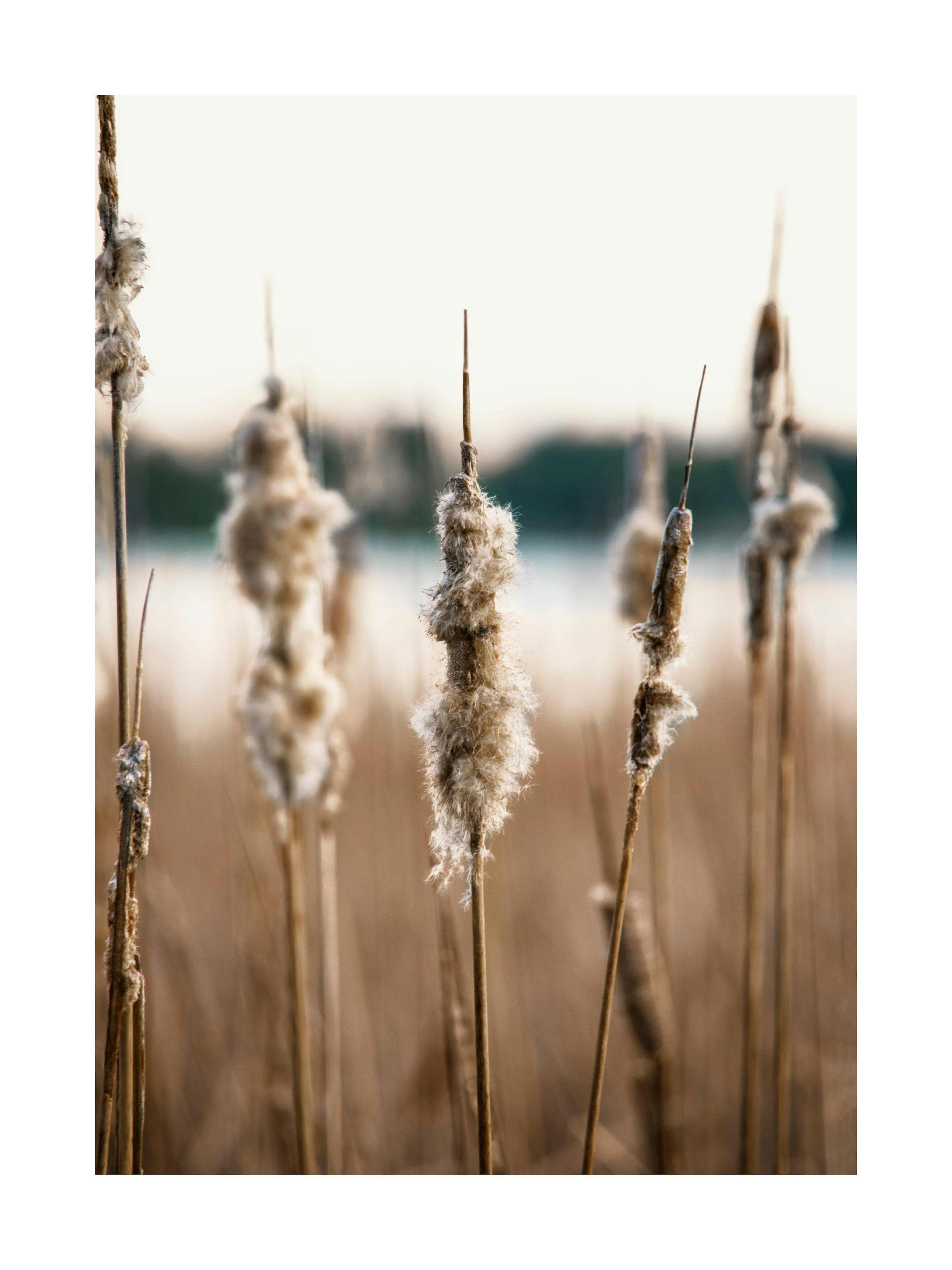Product image: 1
