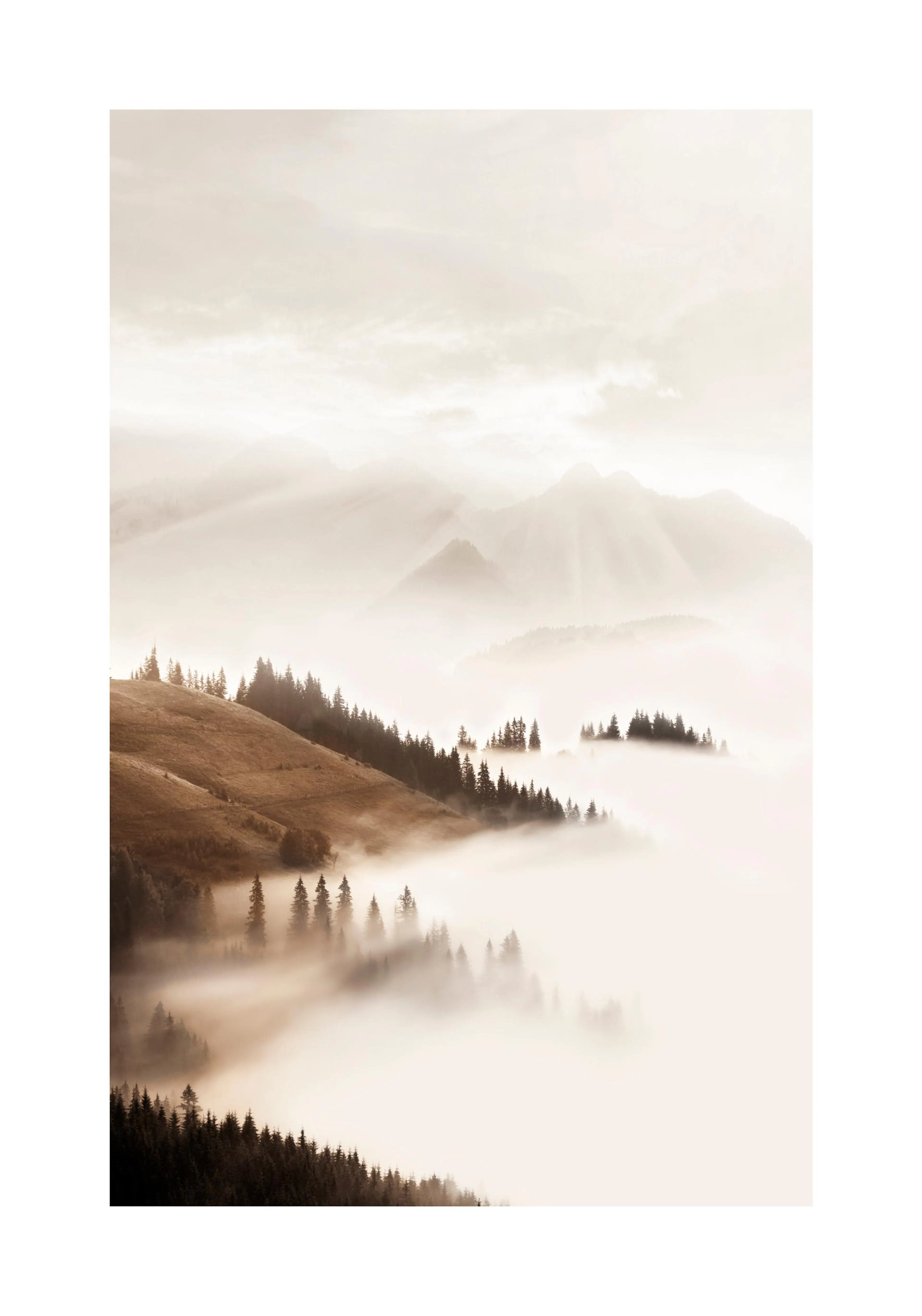 A poster featuring a sepia-toned misty mountain landscape with dark green pine trees emerging from the fog.