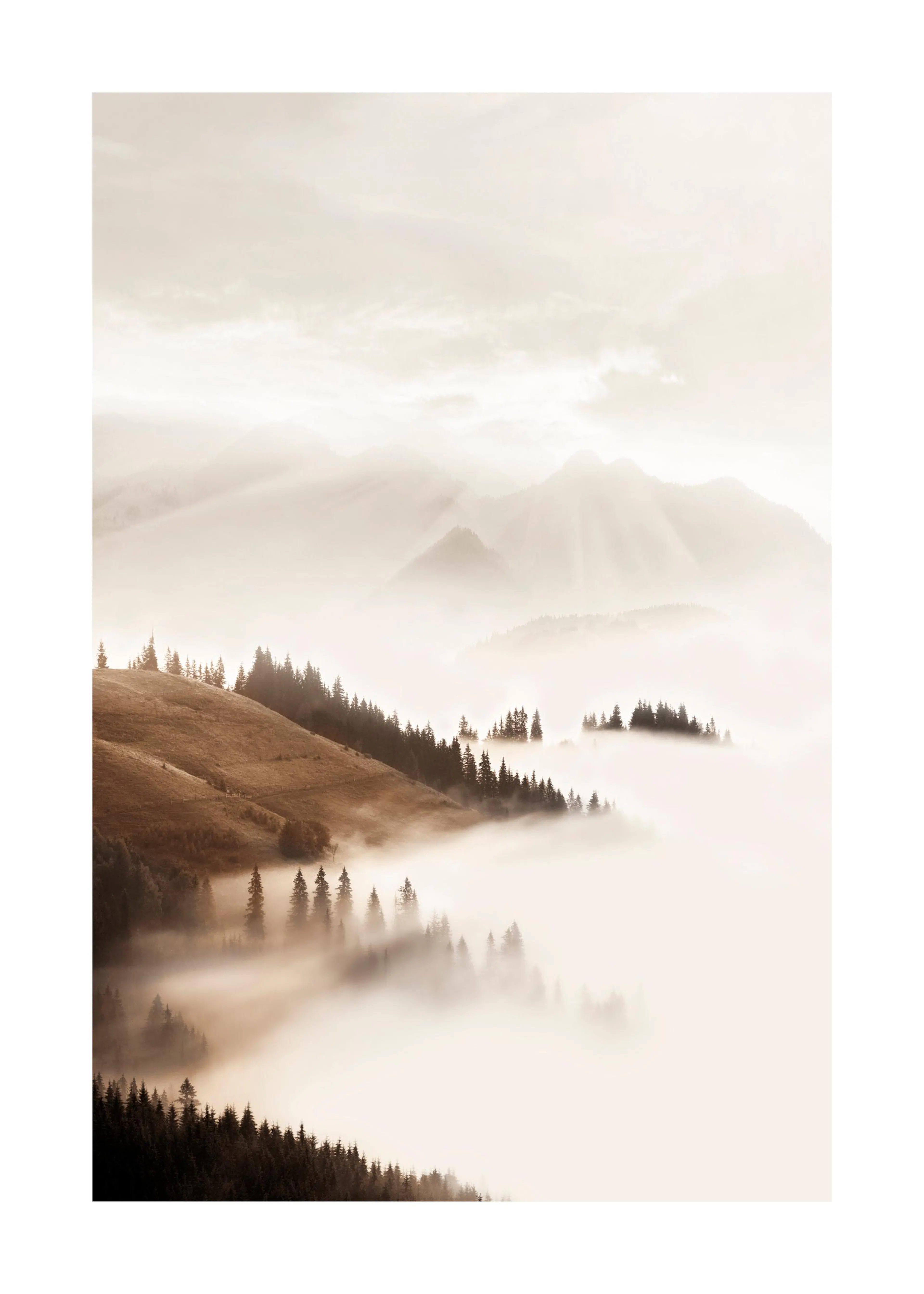 Ködfedte hegyek és fenyőerdők látképe, napfénnyel áttört, sejtelmes hangulatú tájképes poster.