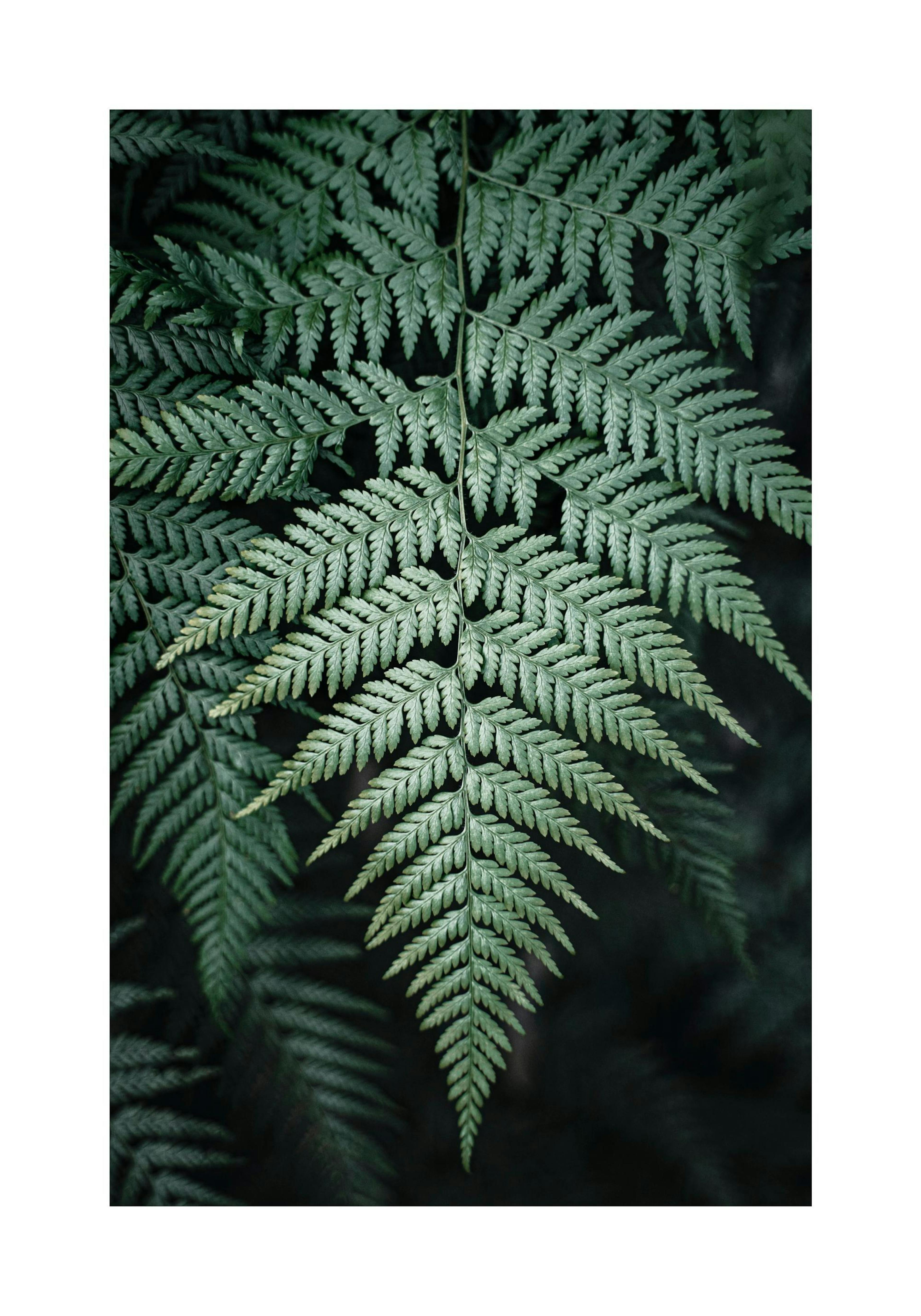Product image: 1