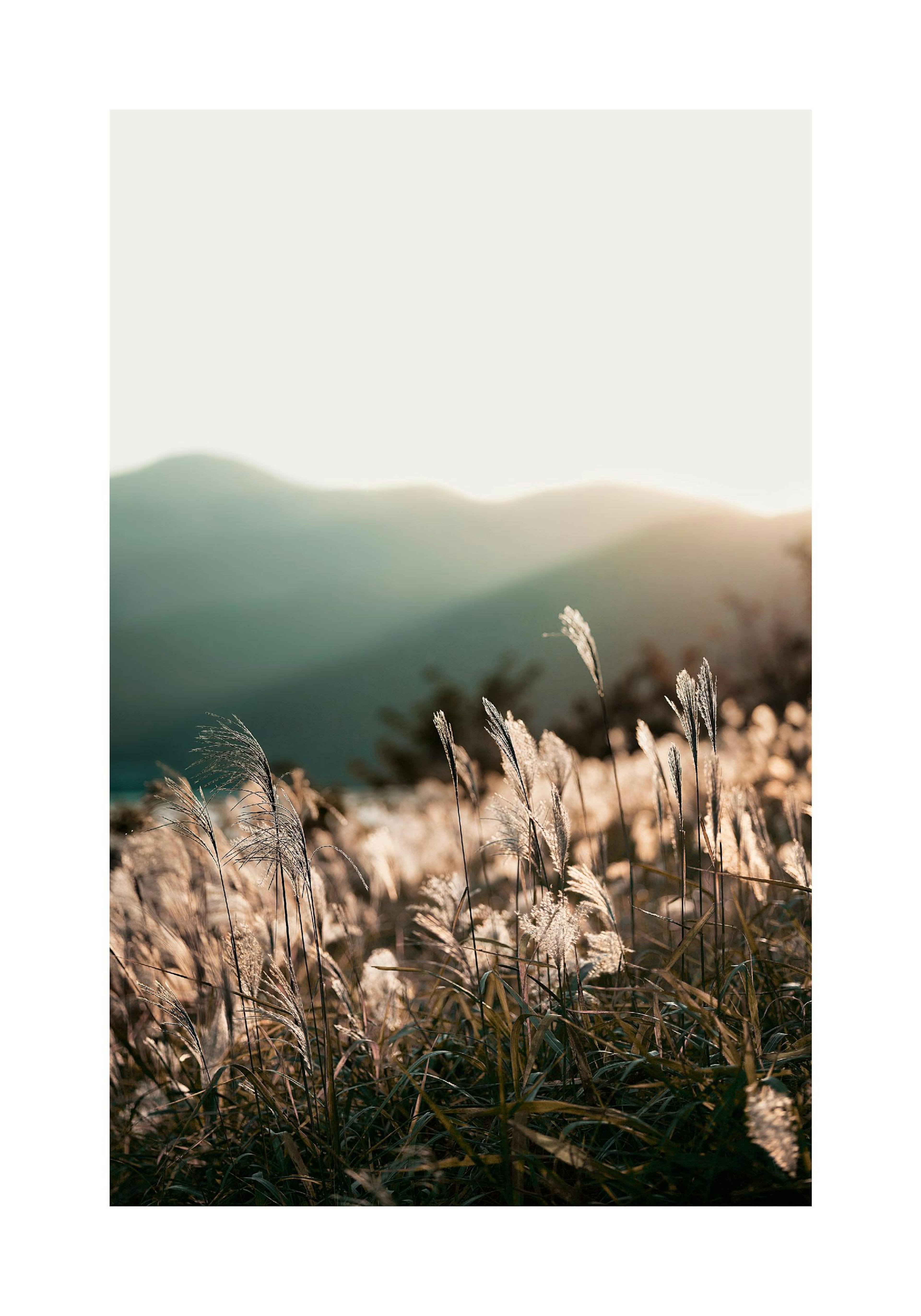 Product image: 1