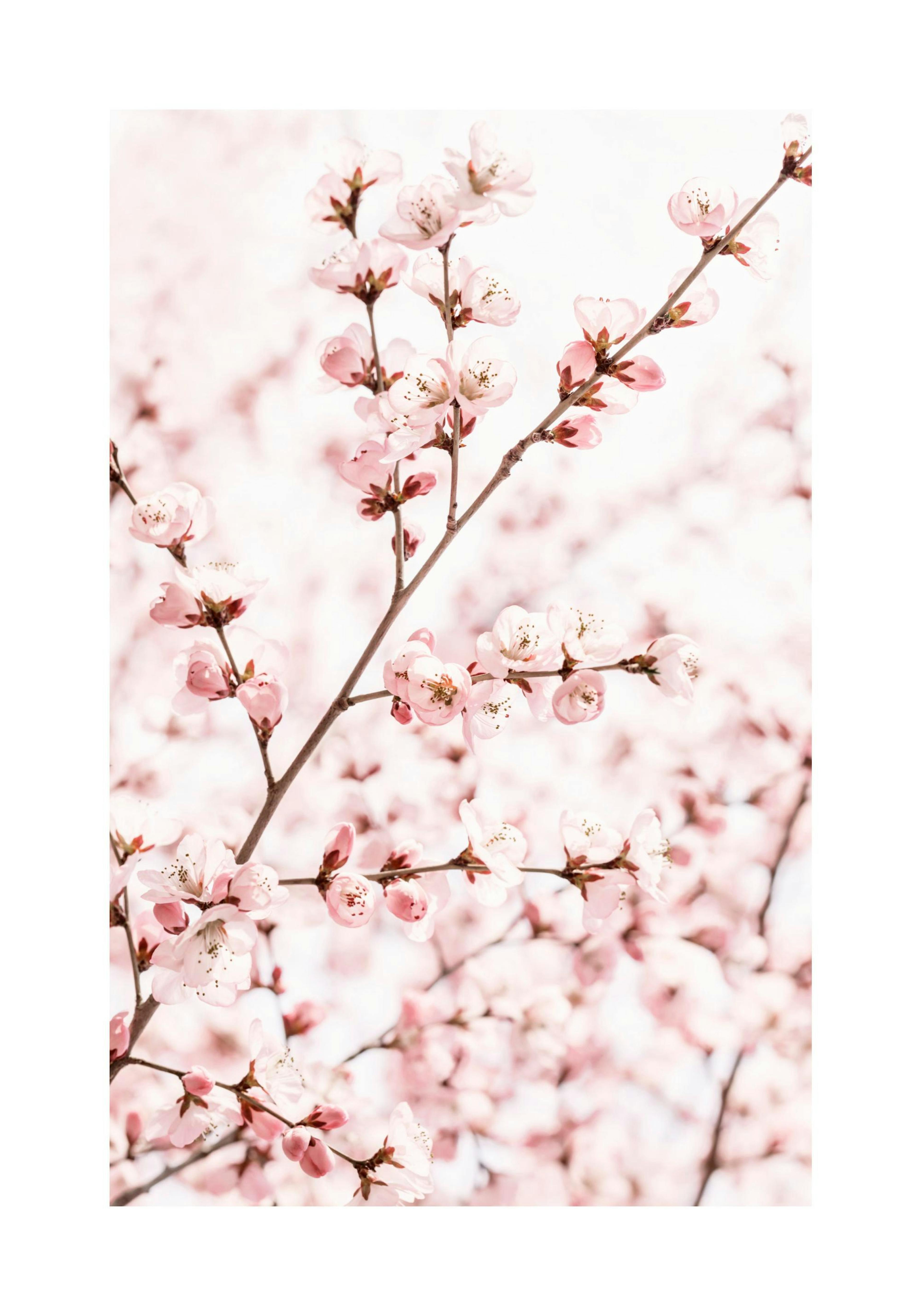 Product image: 1
