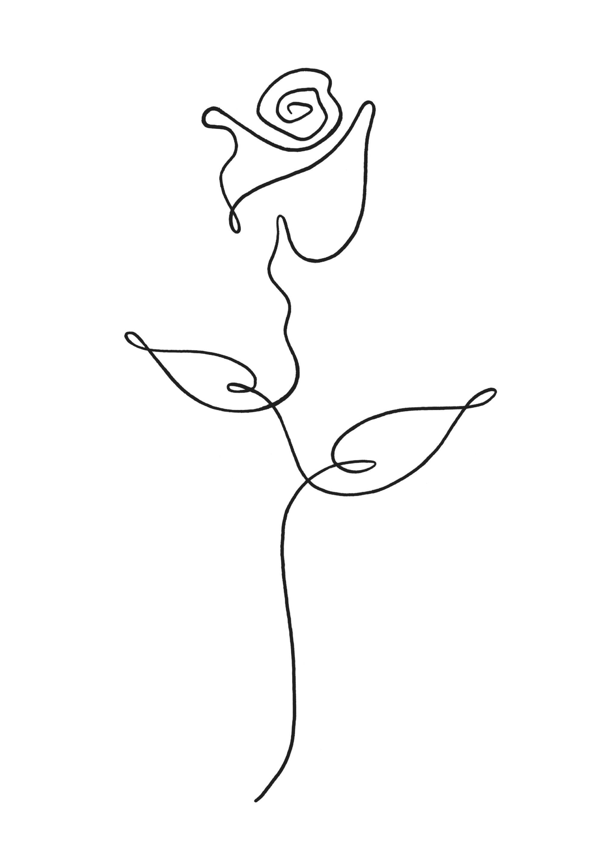 En plakat med en minimalistisk svart kontur av en rose og to blader på en hvit bakgrunn.