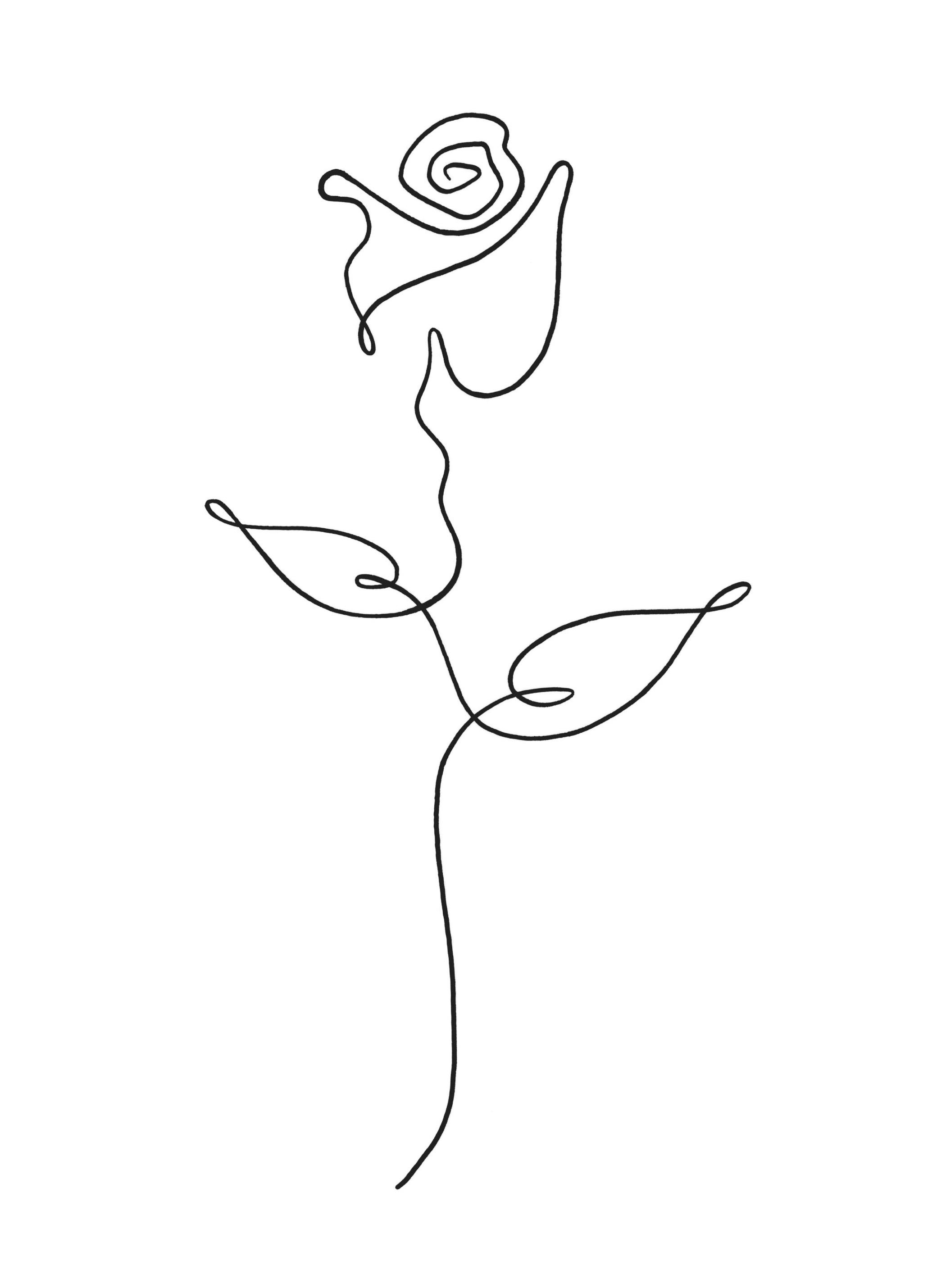Ruusu Line Art Juliste (50x70 cm) - Poster Store