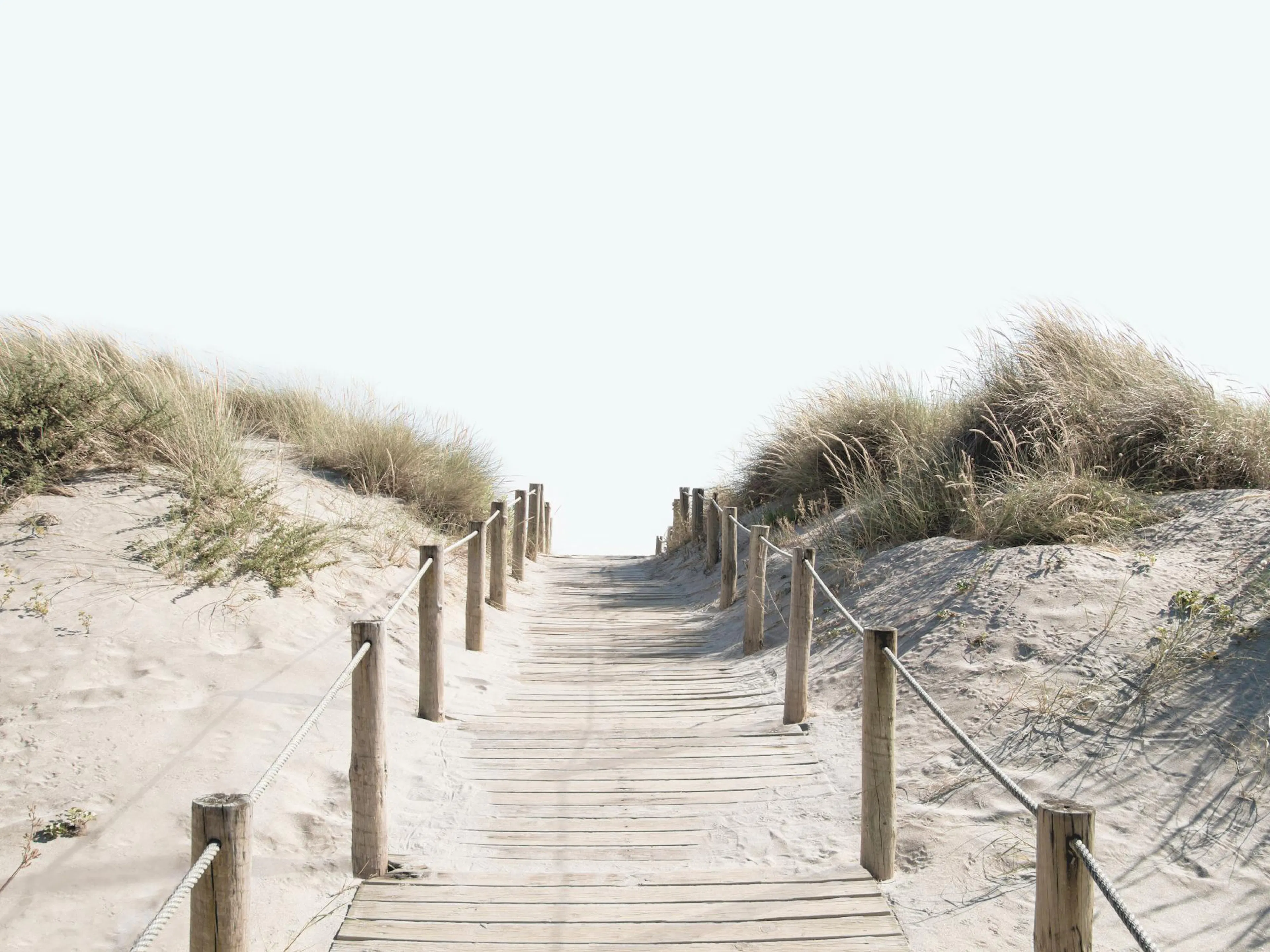 Poster dune passerelle en bois traversant des dunes de sable avec de lherbe sèche sous un ciel clair.