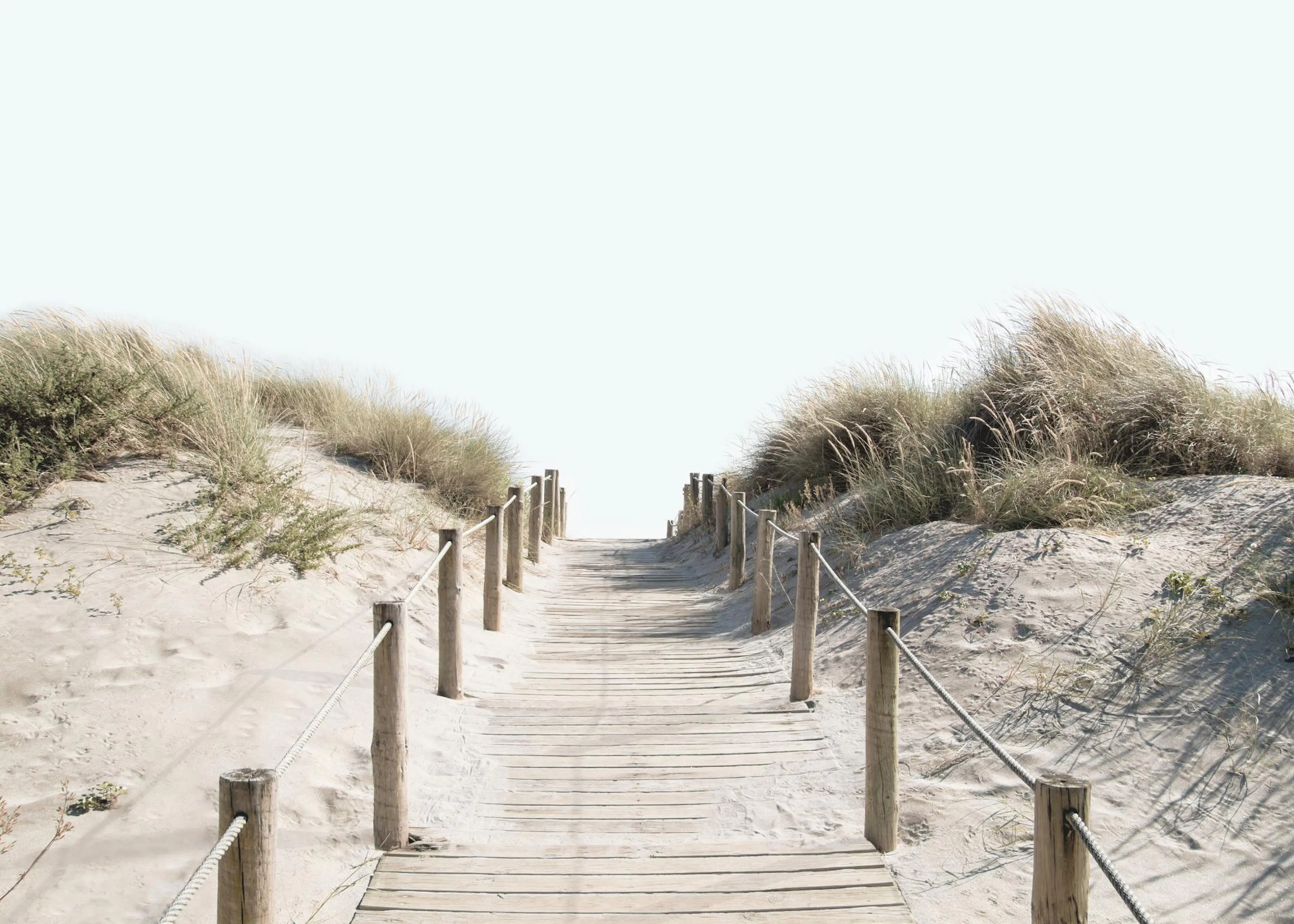 Póster de un camino de madera bordeado por cuerdas y dunas de arena con hierba, que lleva hacia un cielo brillante.