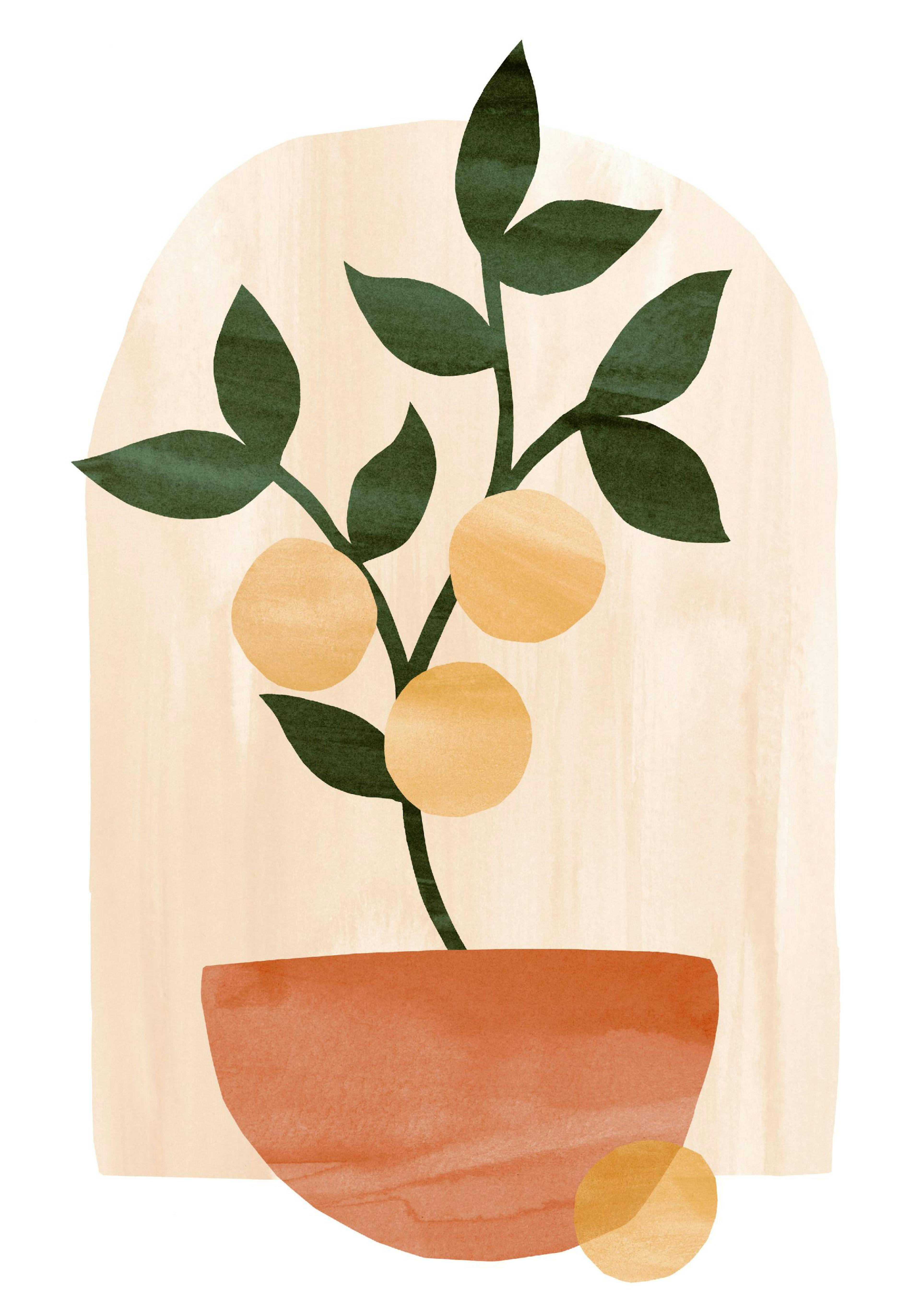 Abstract Lemon Tree Poster 0