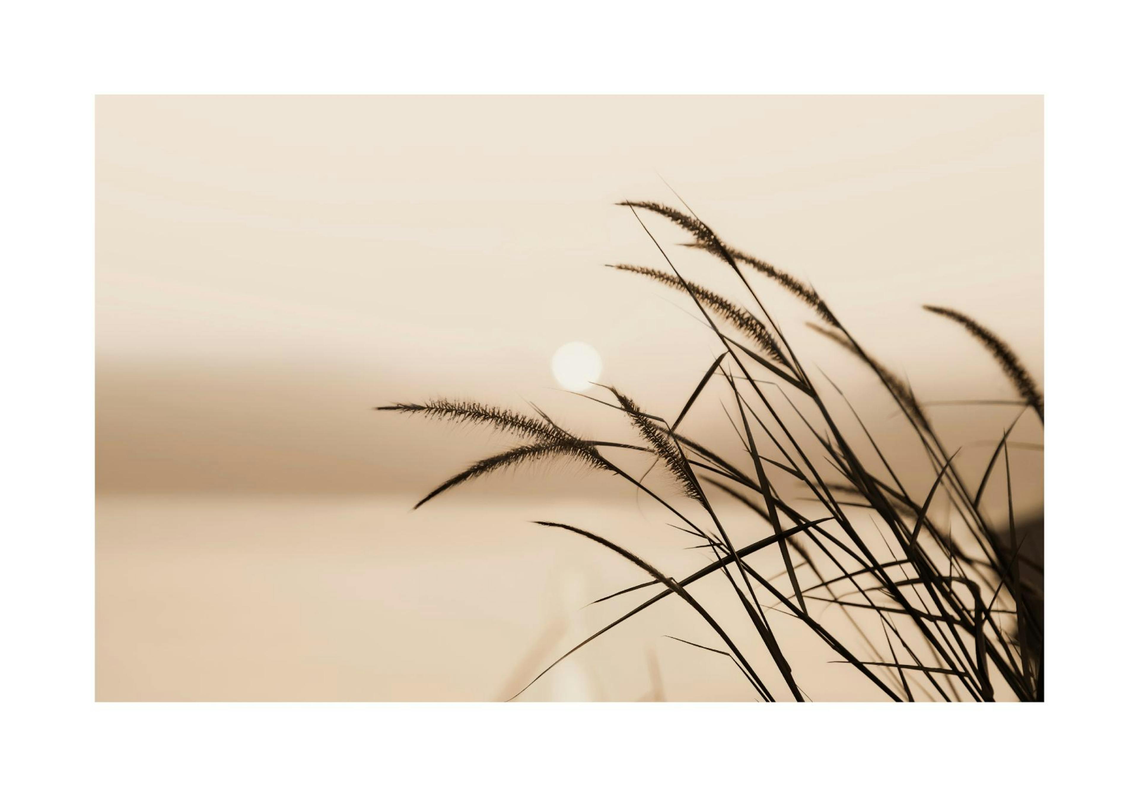 Product image: 1