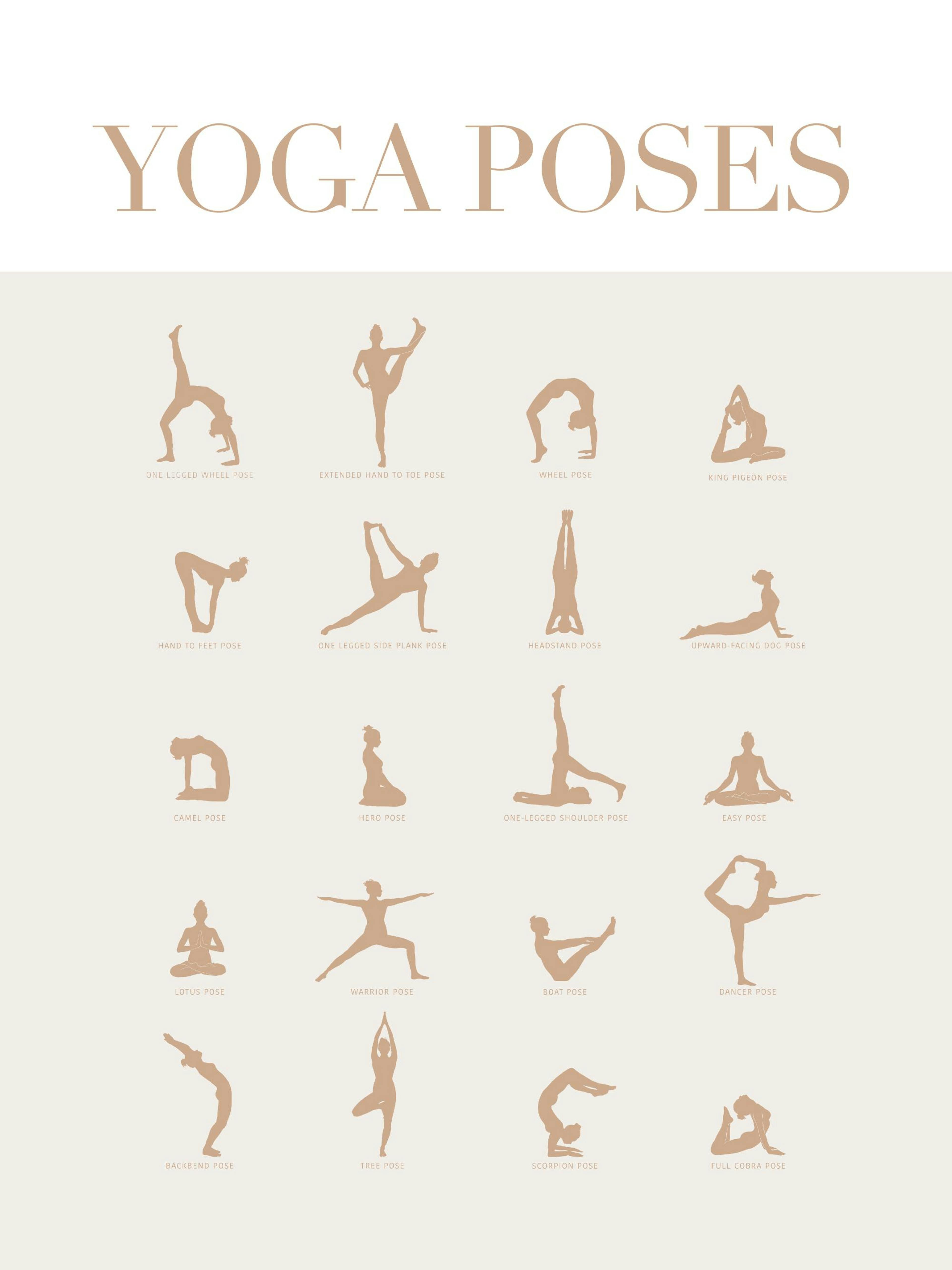 Yoga Poses Poster 0