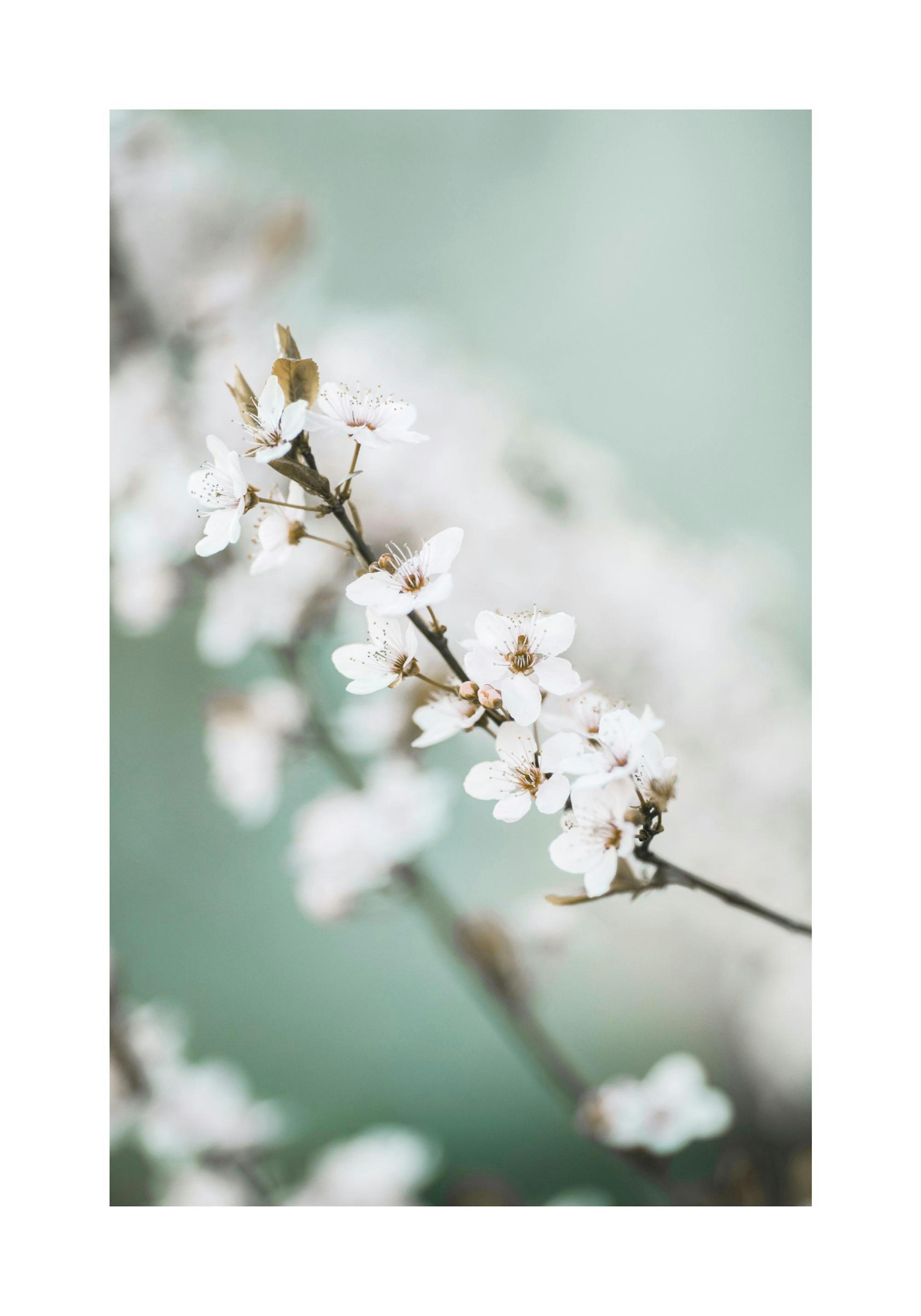 Product image: 1
