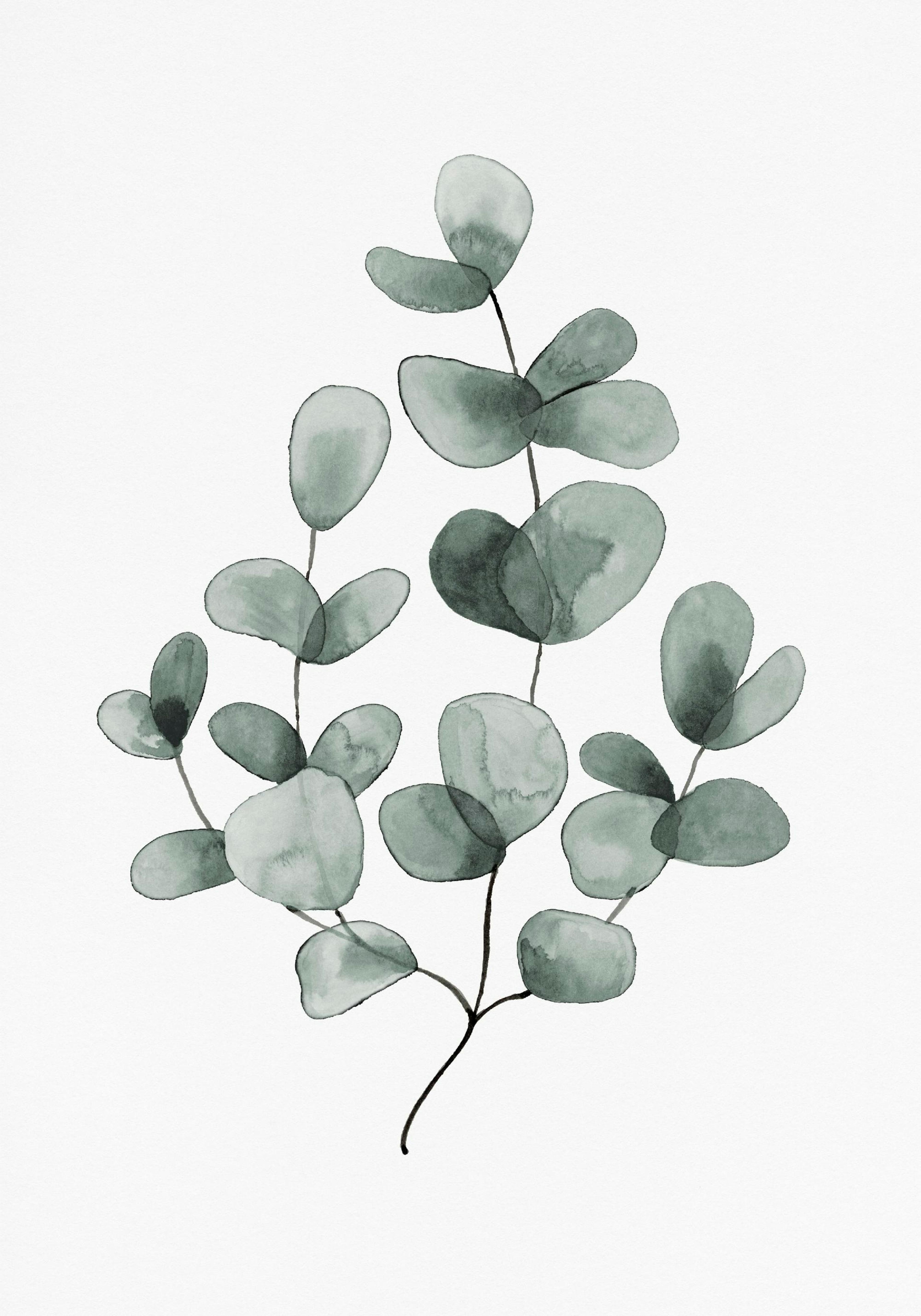 Product image: 1