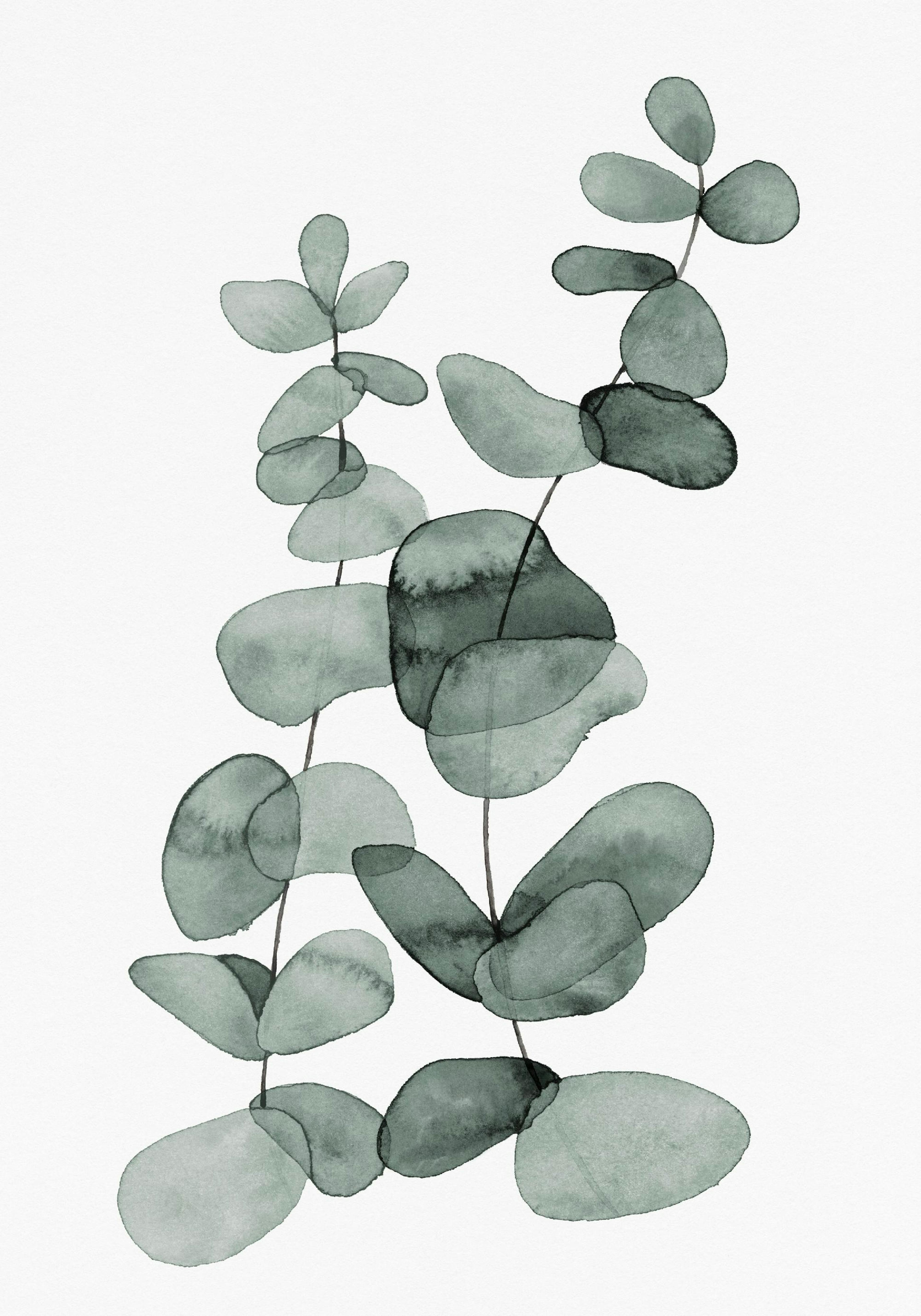 Product image: 1