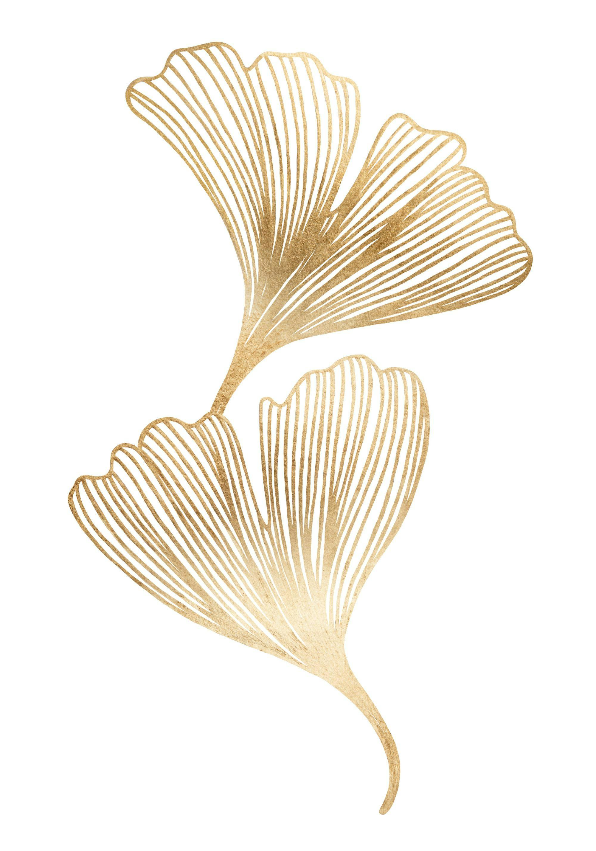 Plakát se dvěma zlatými listy jinanu dvoulaločného, které jsou detailně zobrazeny s jemnými liniemi žilkování.