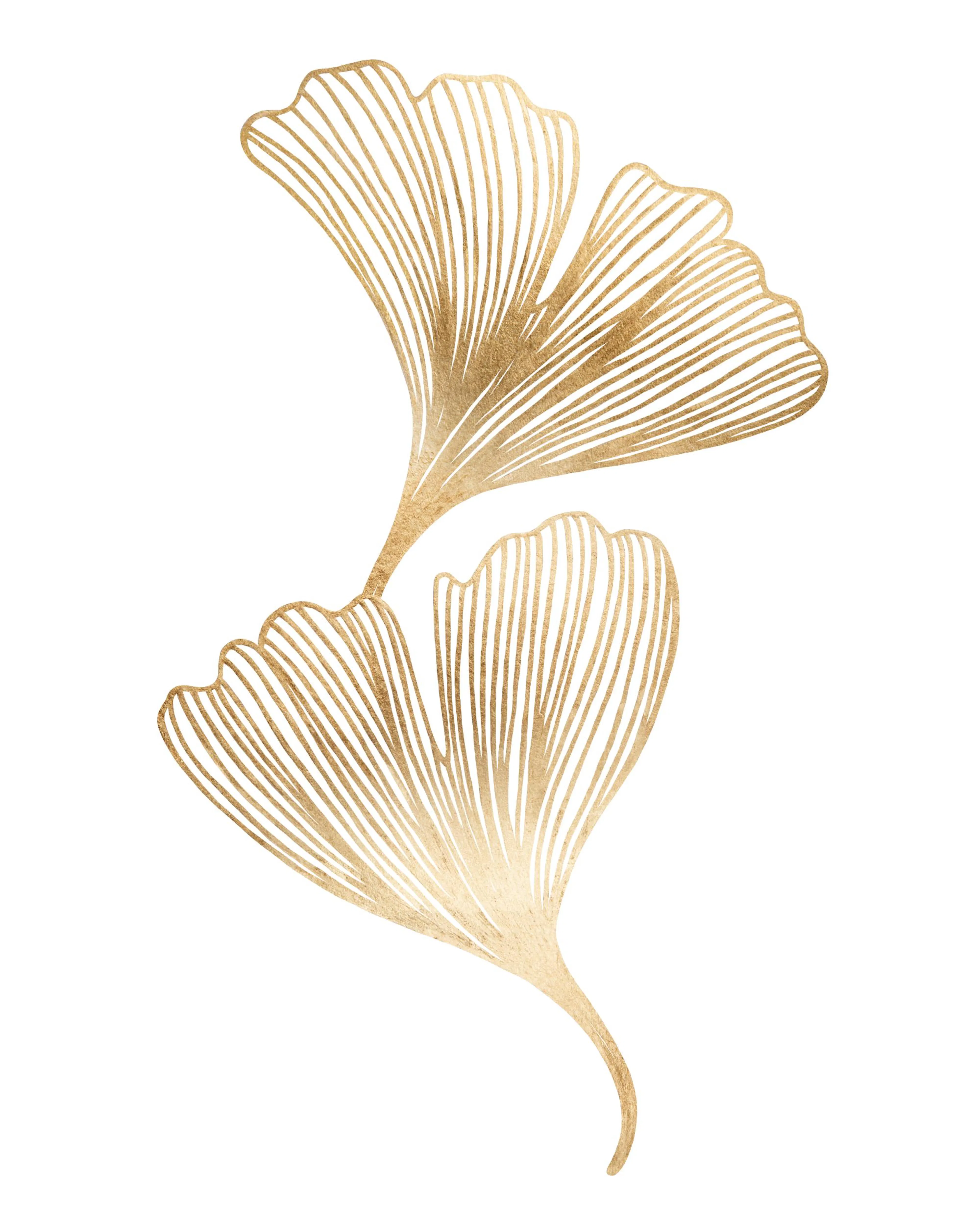 Poster avec illustration de deux feuilles de Ginkgo biloba dorées sur fond blanc.