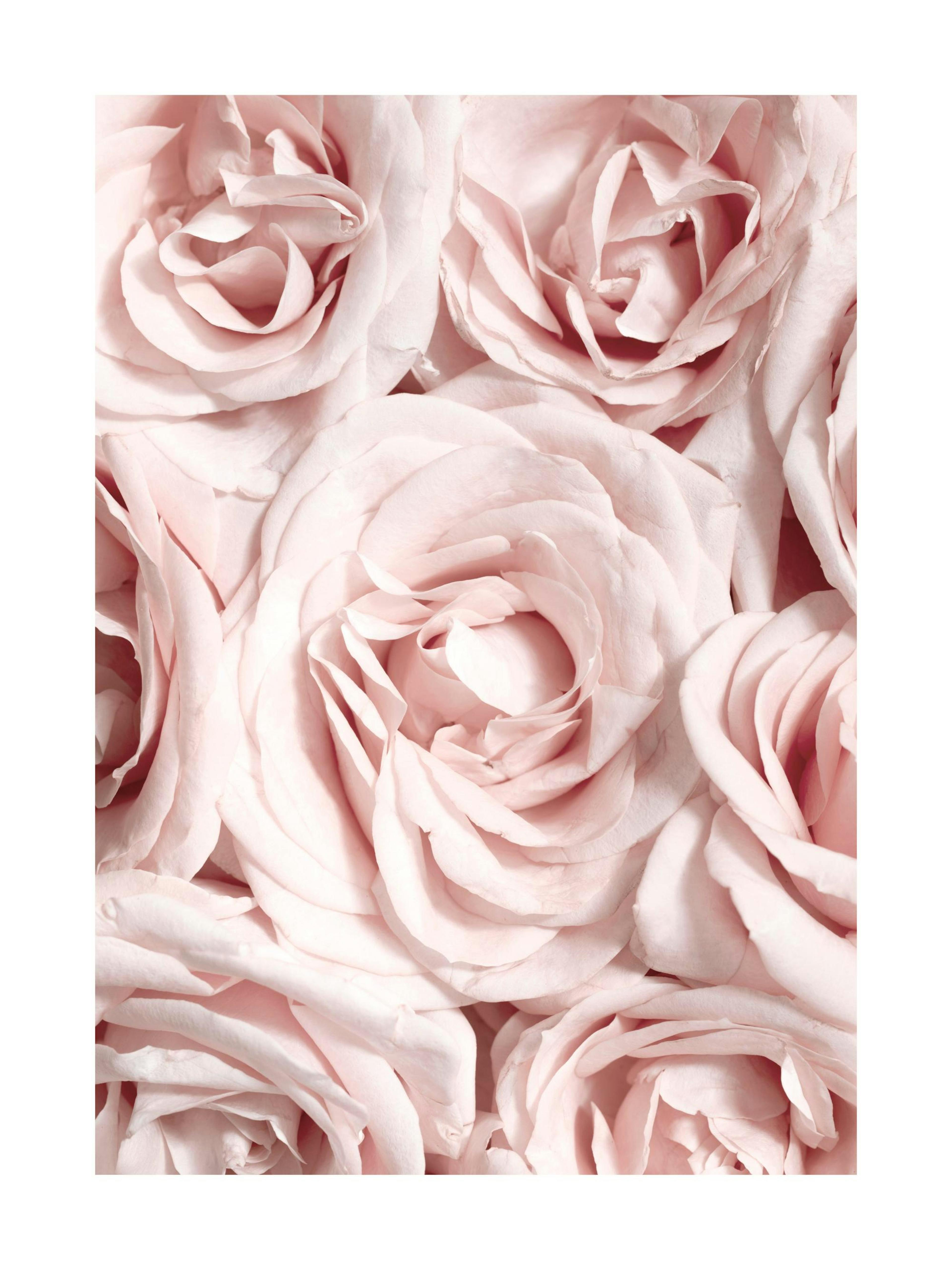 Product image: 1