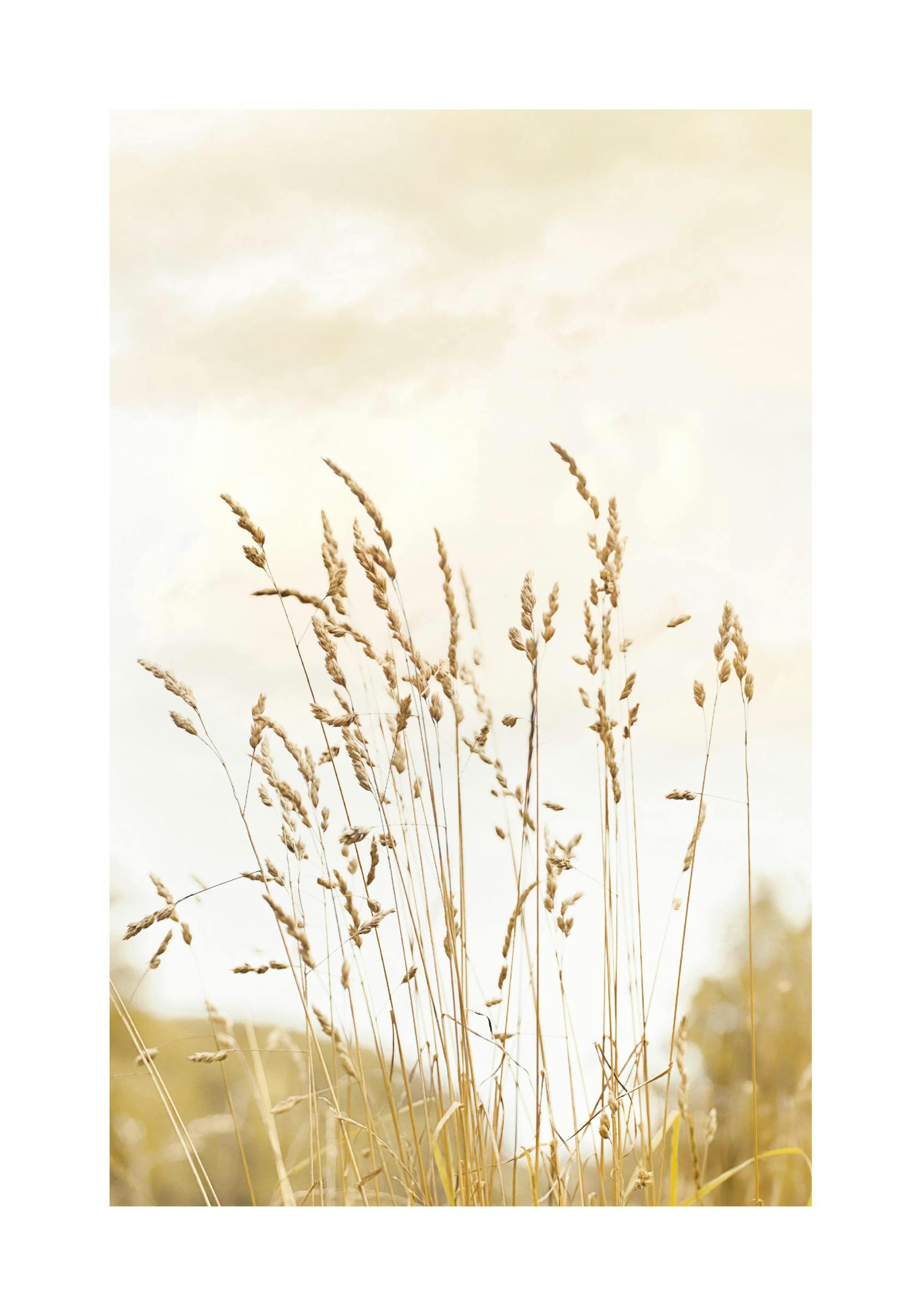 A poster featuring tall, golden dry grass against a light sky, hanging above a round table with a book and coffee cup.