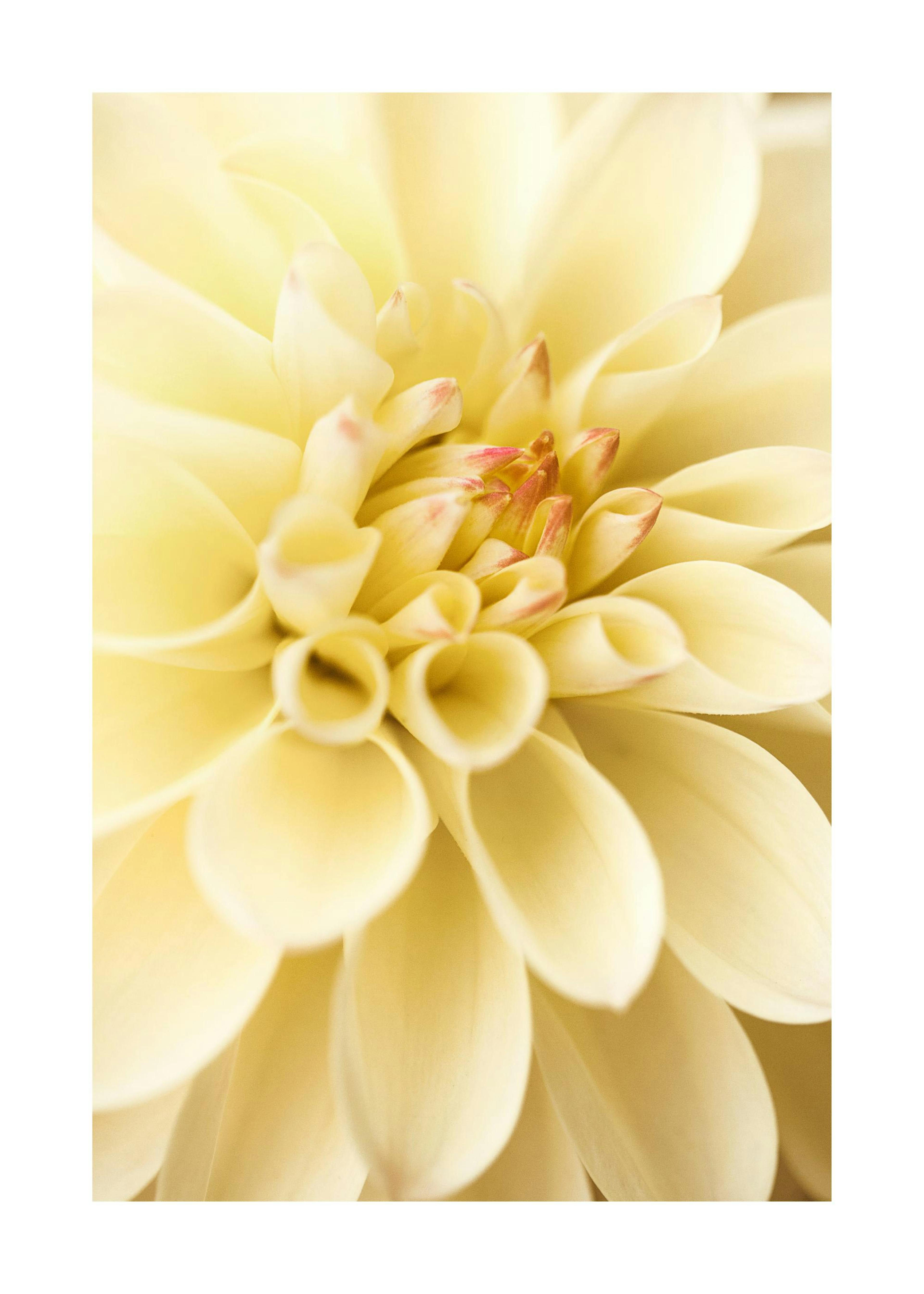 Product image: 3
