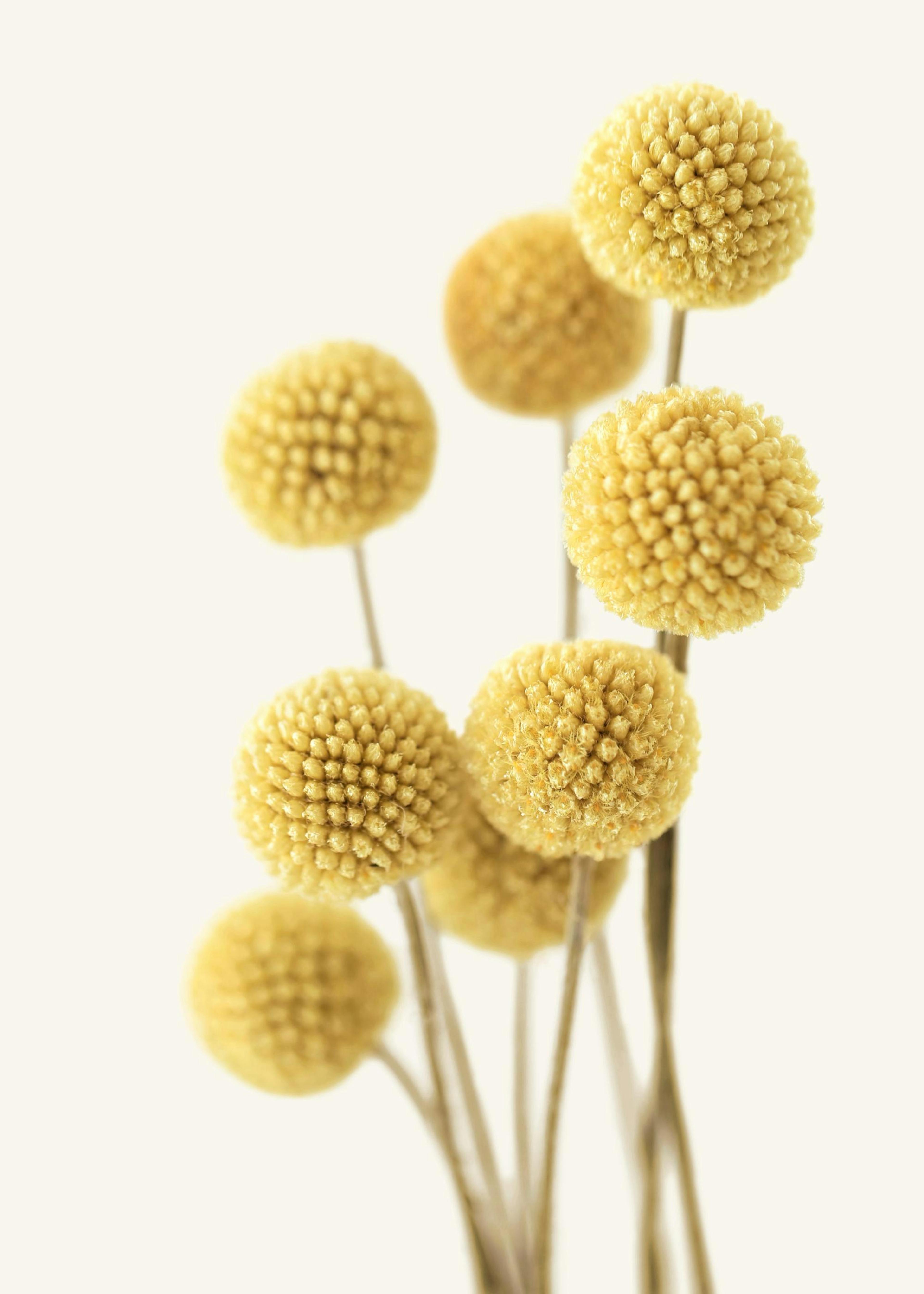 Product image: 4