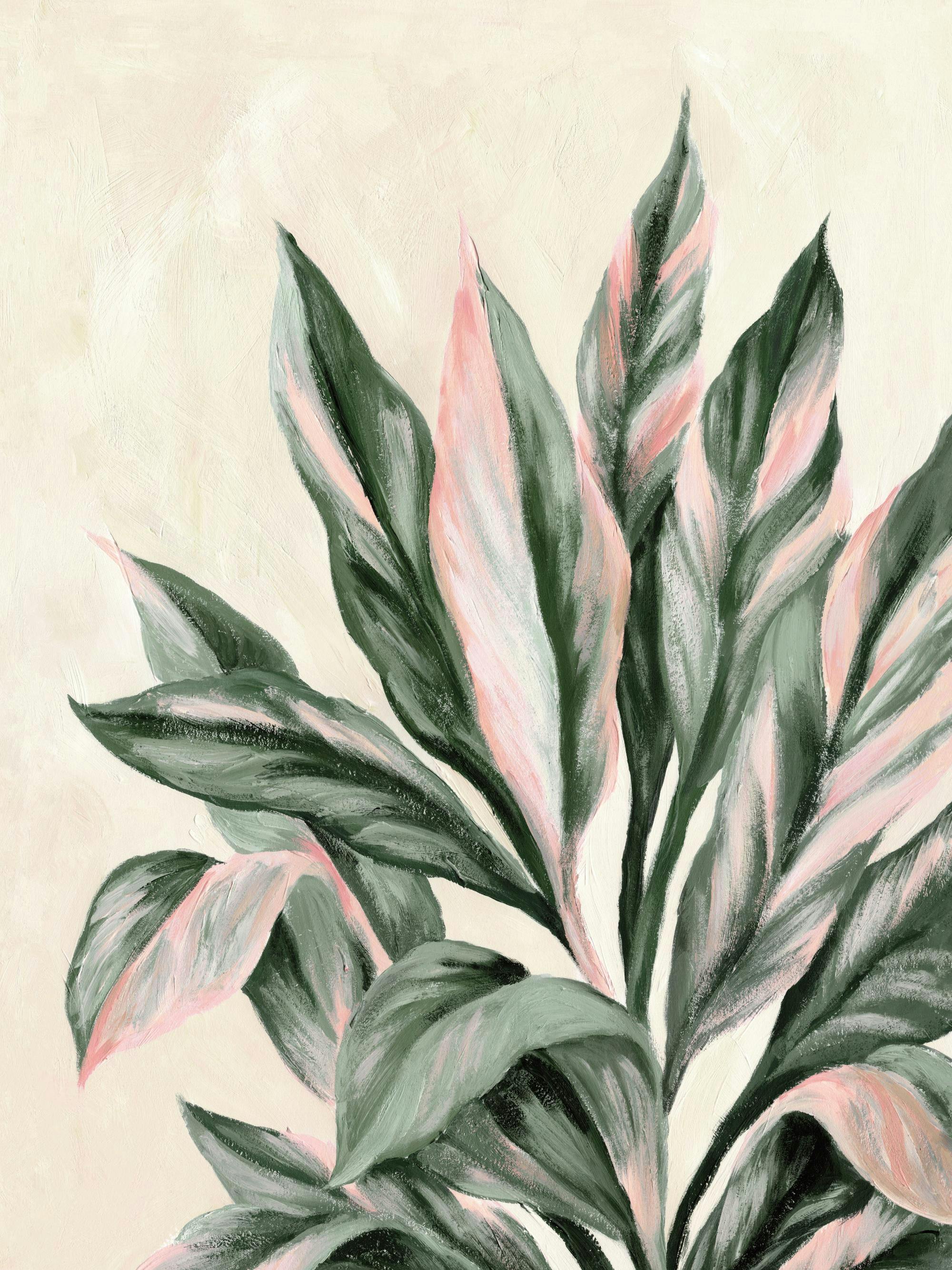 Plakat przedstawiający roślinę o długich, zielonych liściach z różowymi i białymi smugami, na jasnym tle.