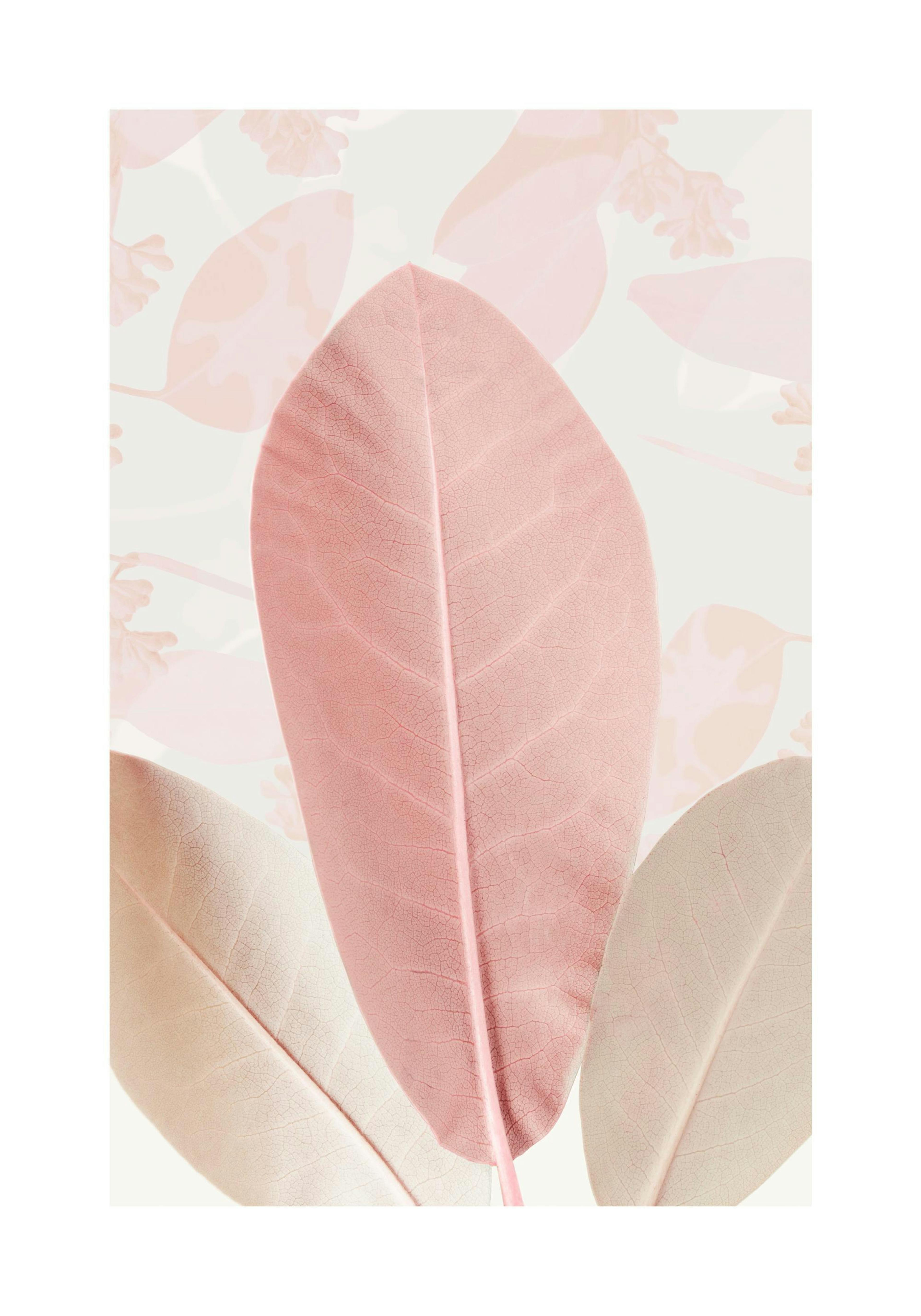 Product image: 1