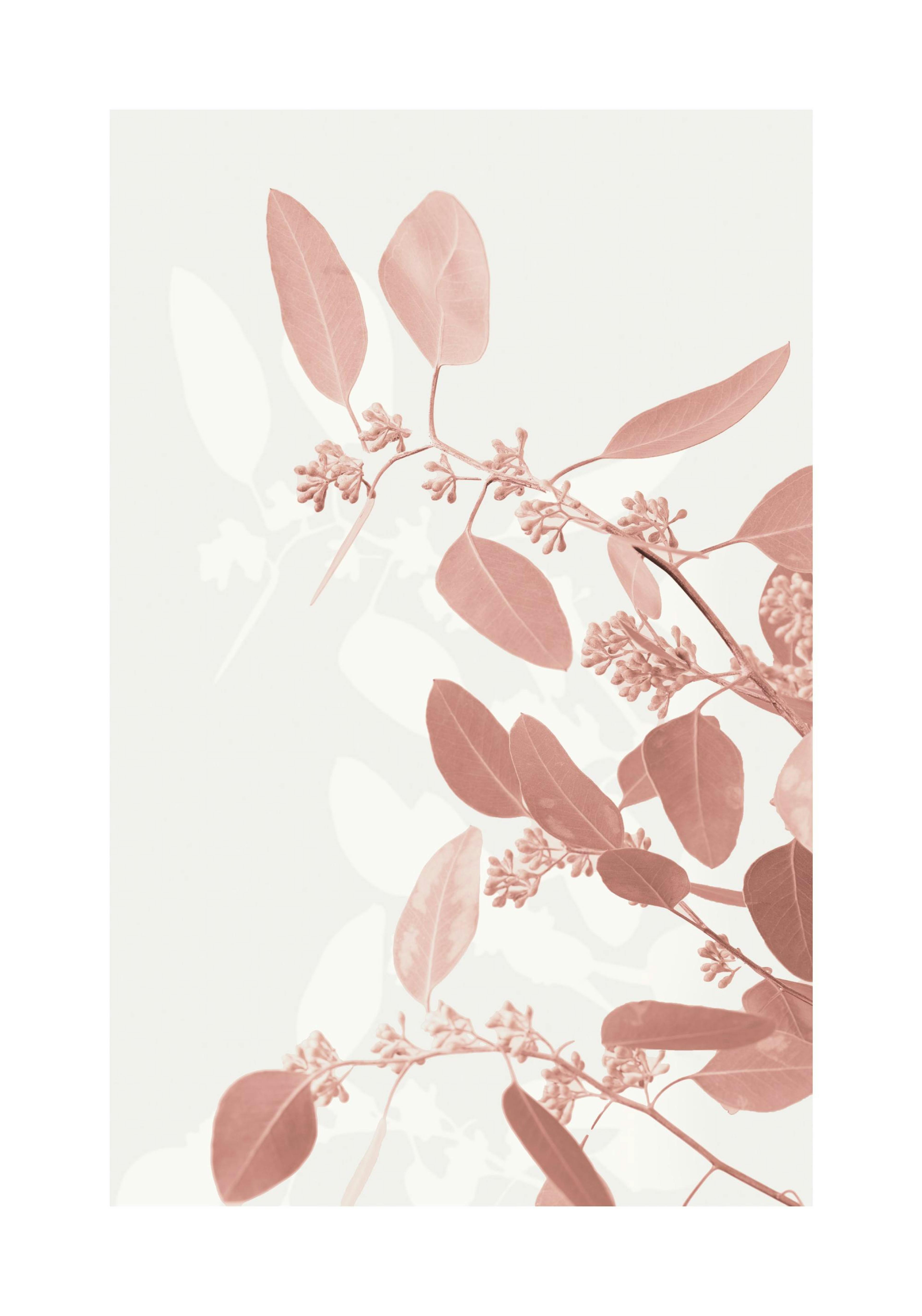 Product image: 1