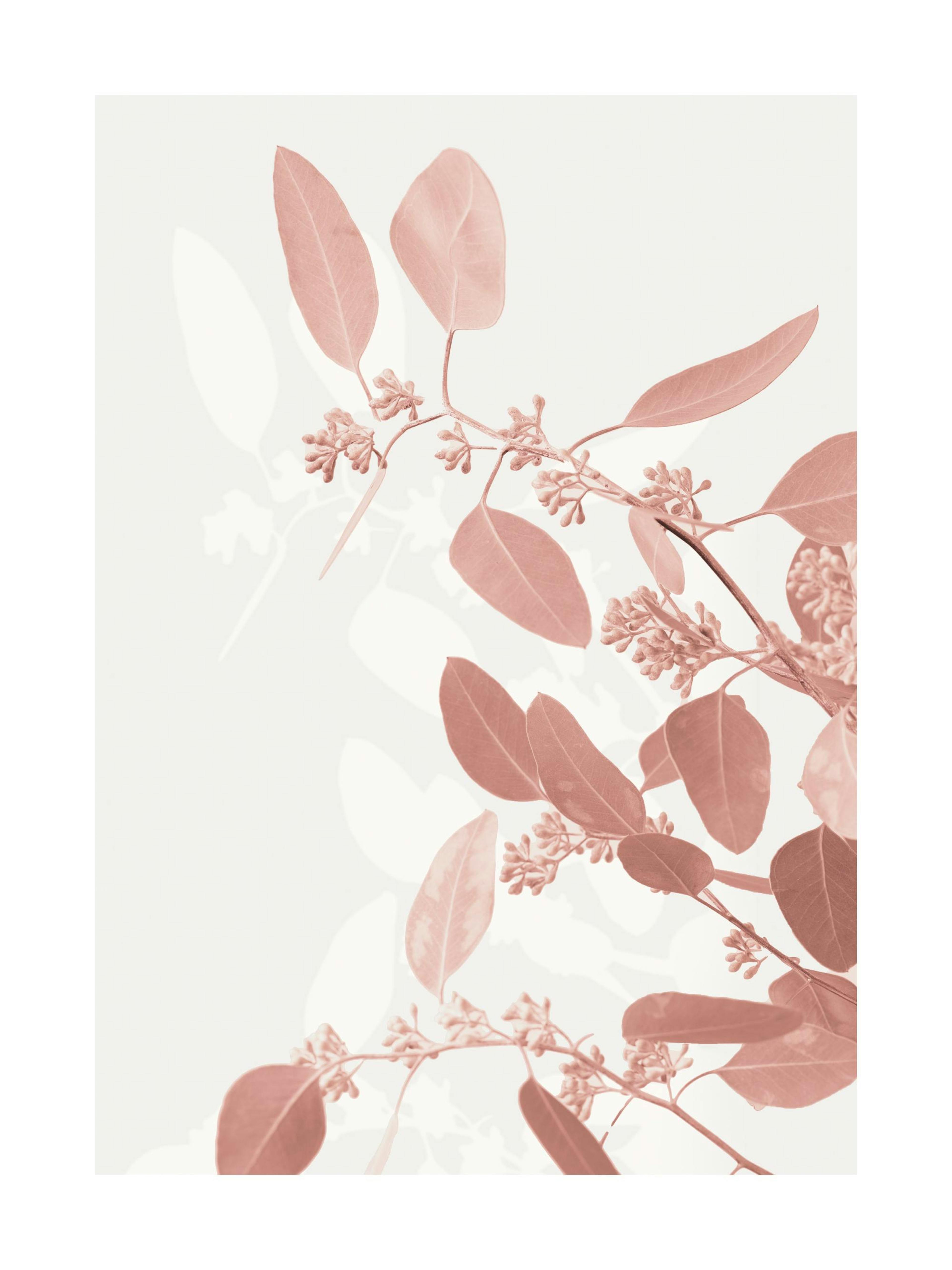 Pastel Twig Poster 0