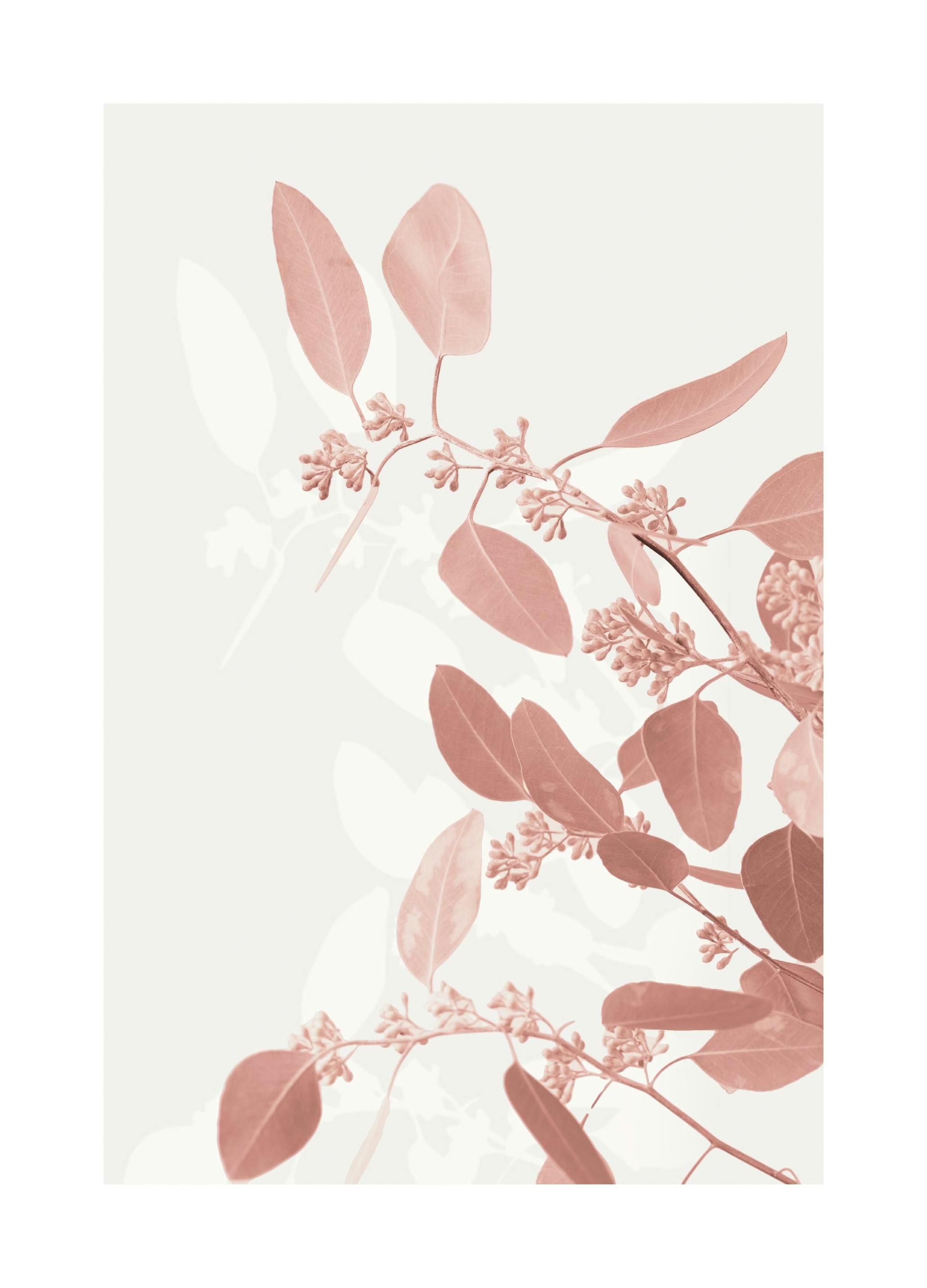 Brindilles Pastel Poster (30x40 cm) - Poster Store