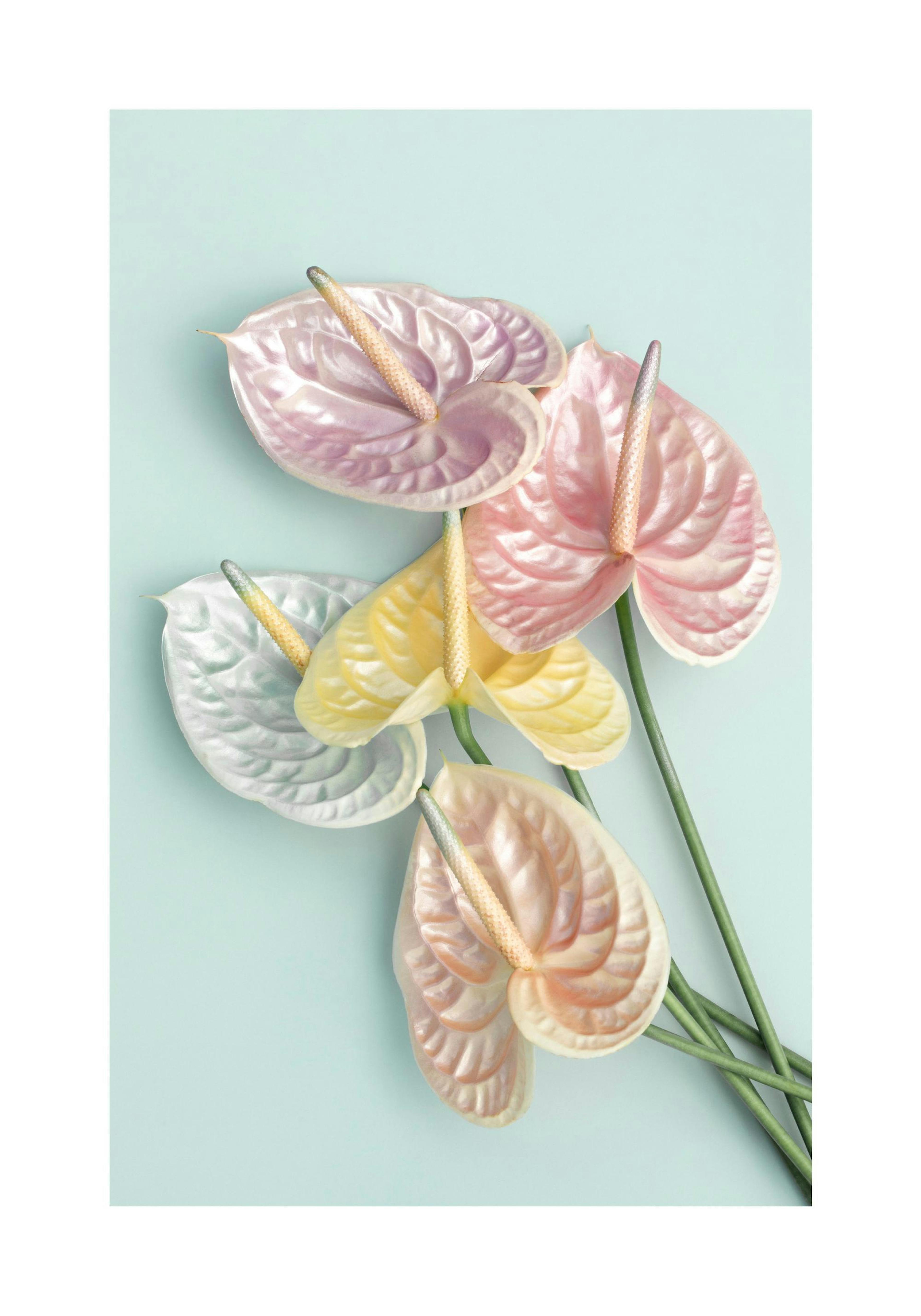 Product image: 1