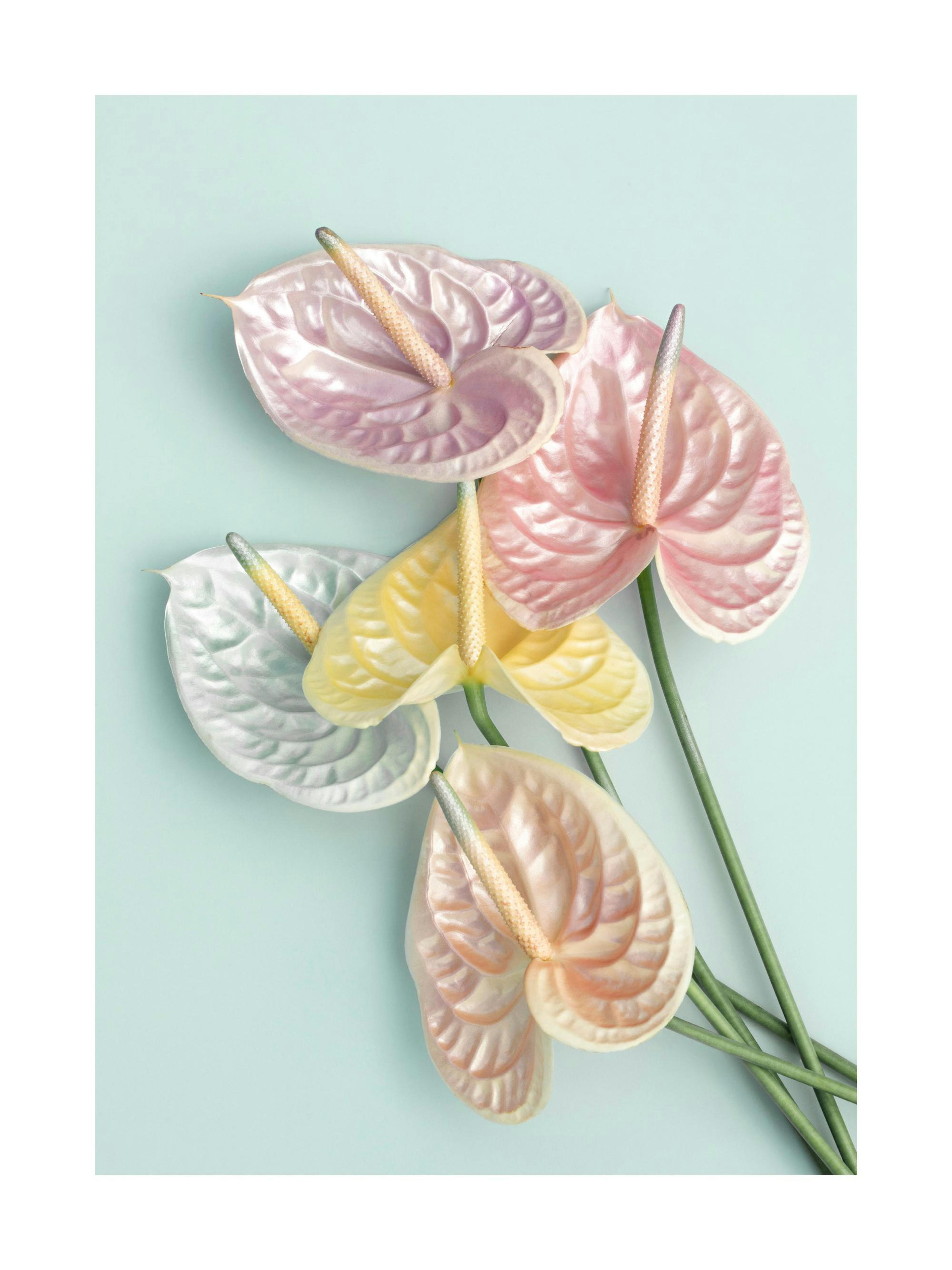 Product image: 1
