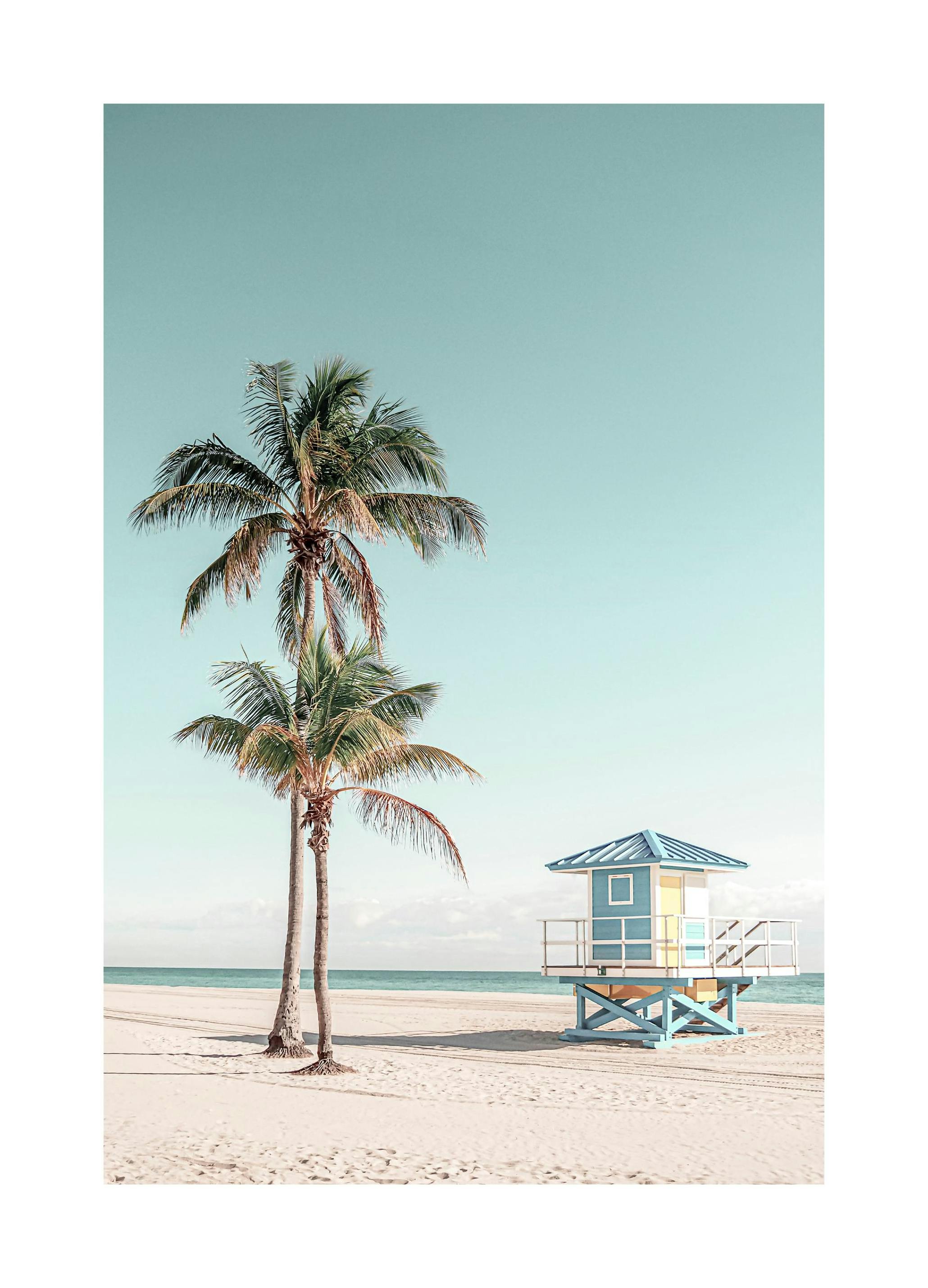 Palm Beach poster (50x70 cm) - Poster Store