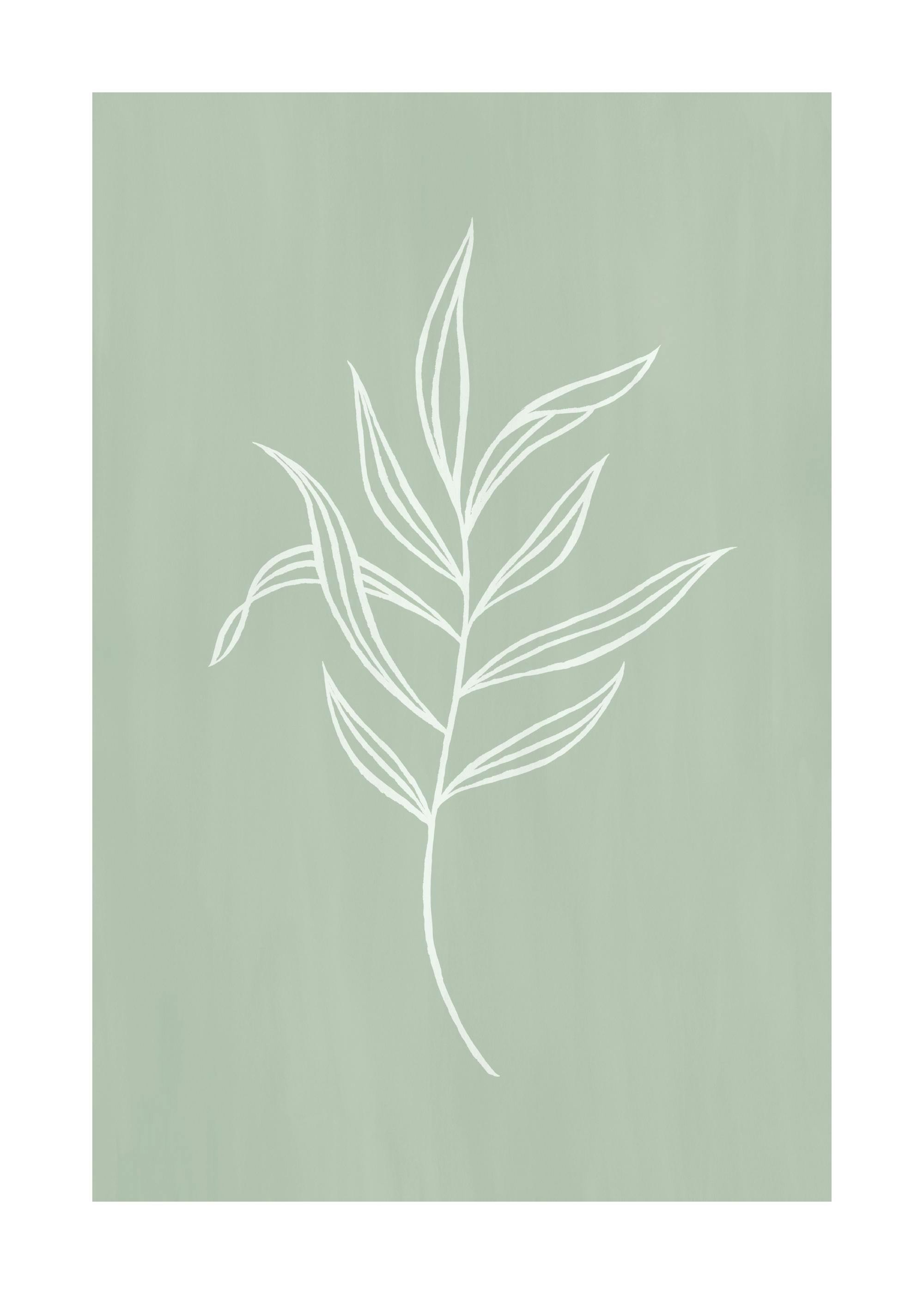 Plakat med en hvit illustrasjon av en botanisk plante på en grønn bakgrunn.