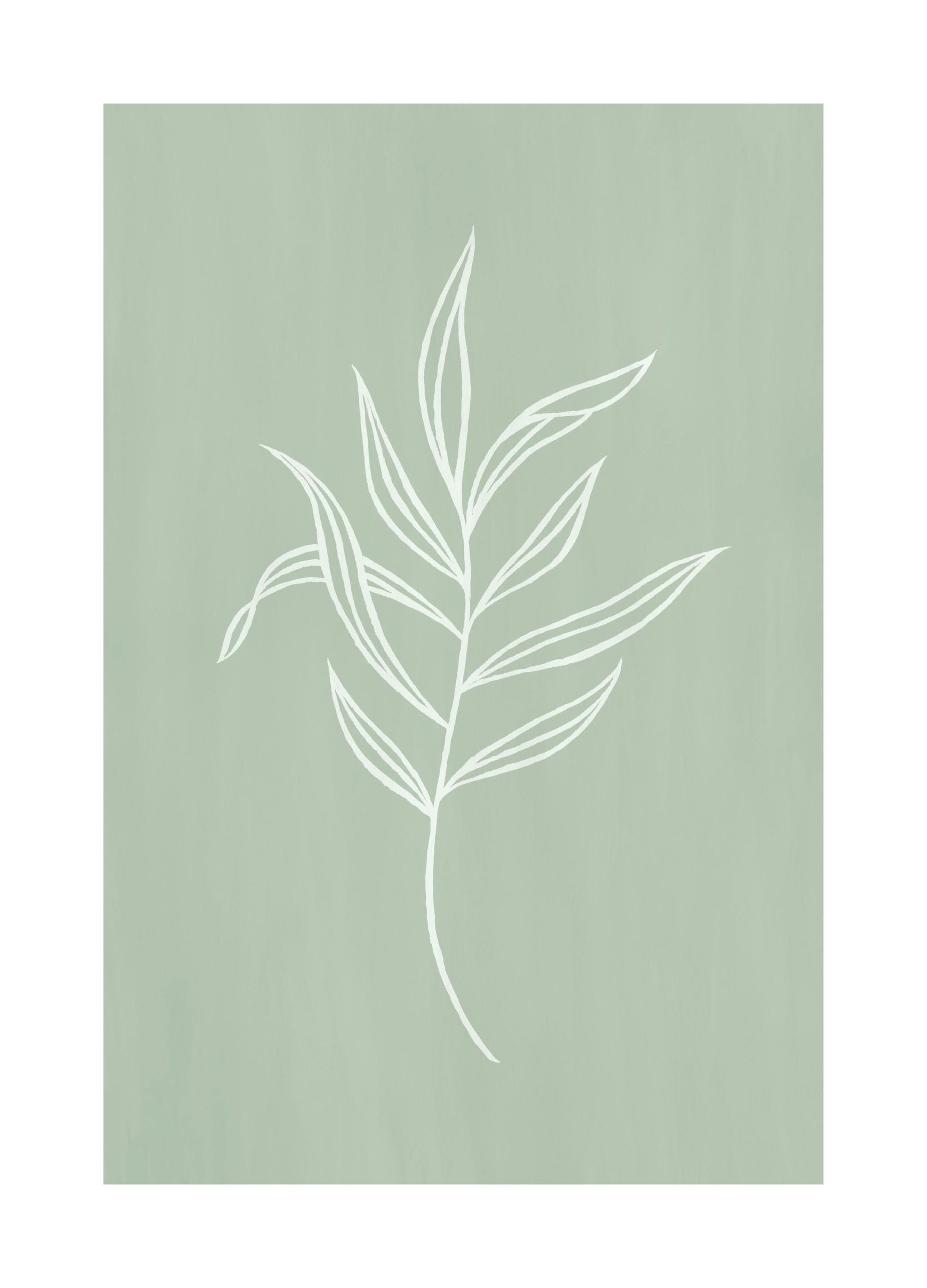 Foglie in verde Potser (21x30 cm) - Poster Store