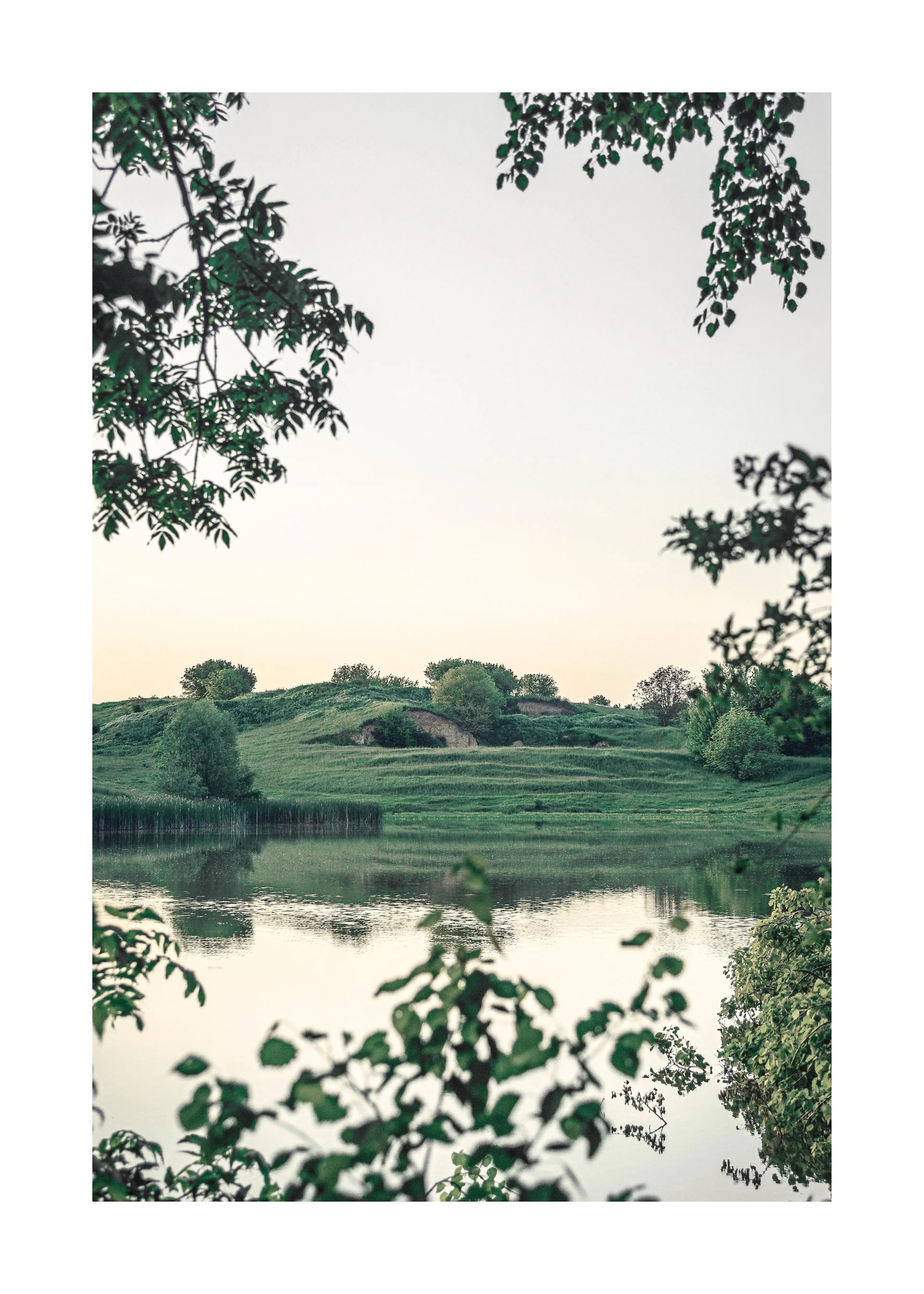 En plakat av et rolig innsjølandskap med grønne åser, trær og siv langs vannkanten under en lys himmel.