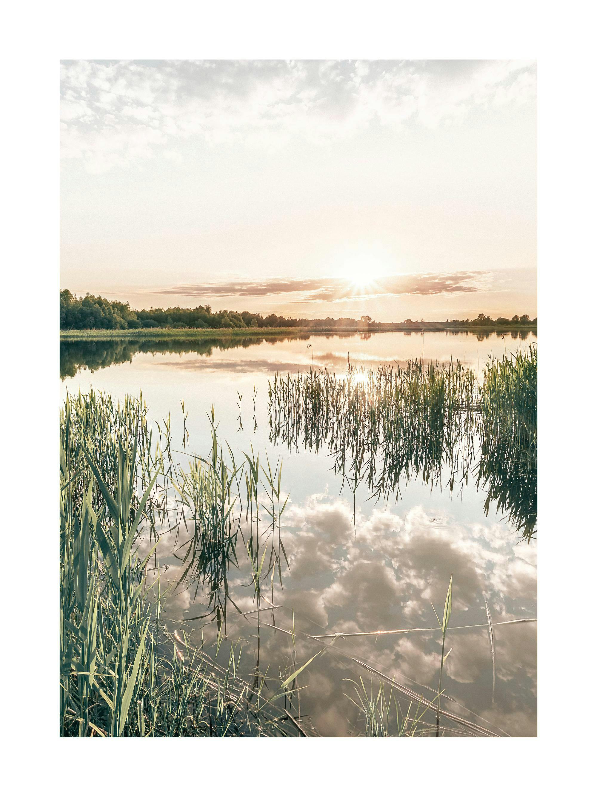 Ein Poster des Sonnenuntergangs über einem ruhigen See mit Schilf im Vordergrund und Spiegelungen des Himmels im Wasser.
