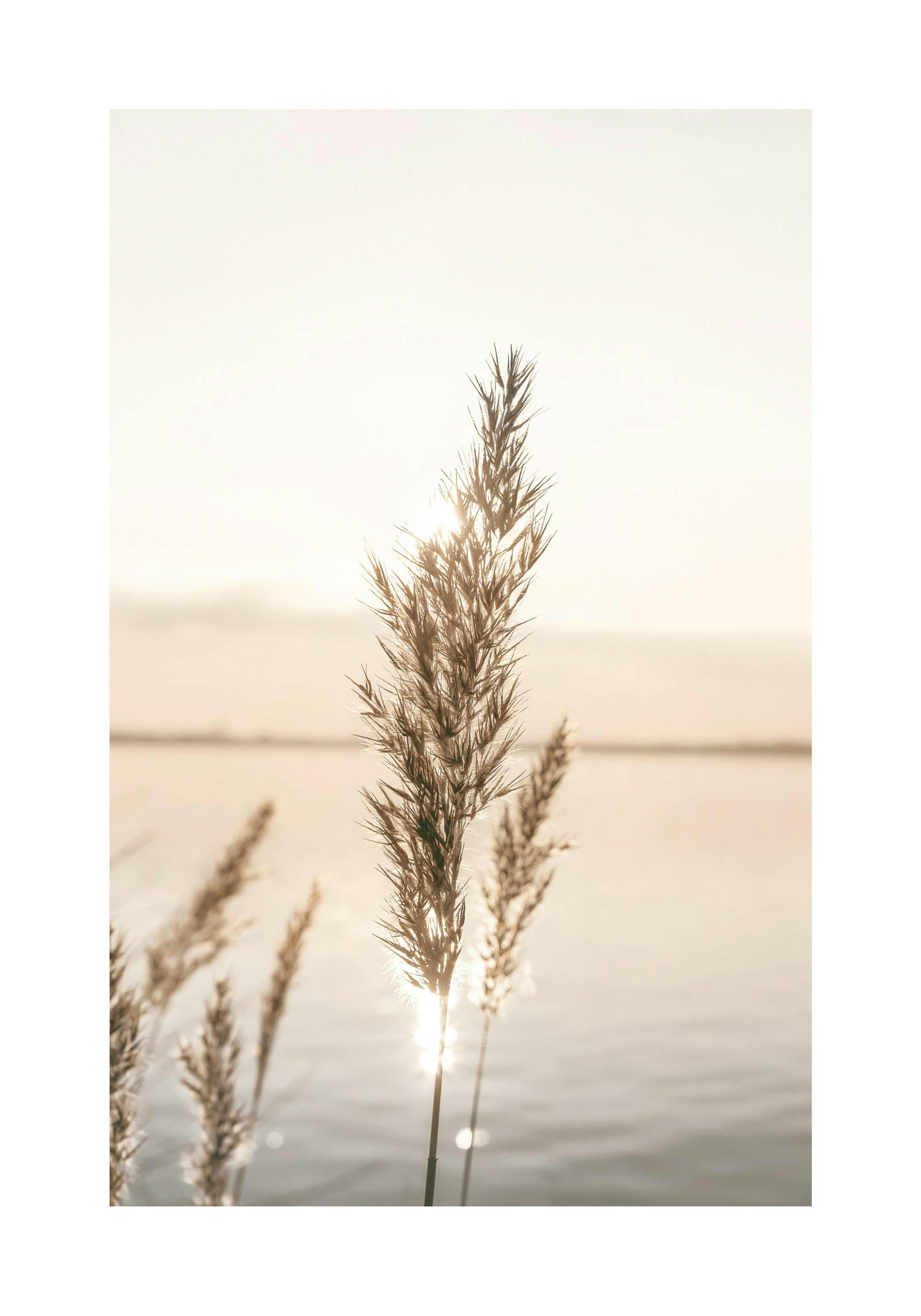 Product image: 1