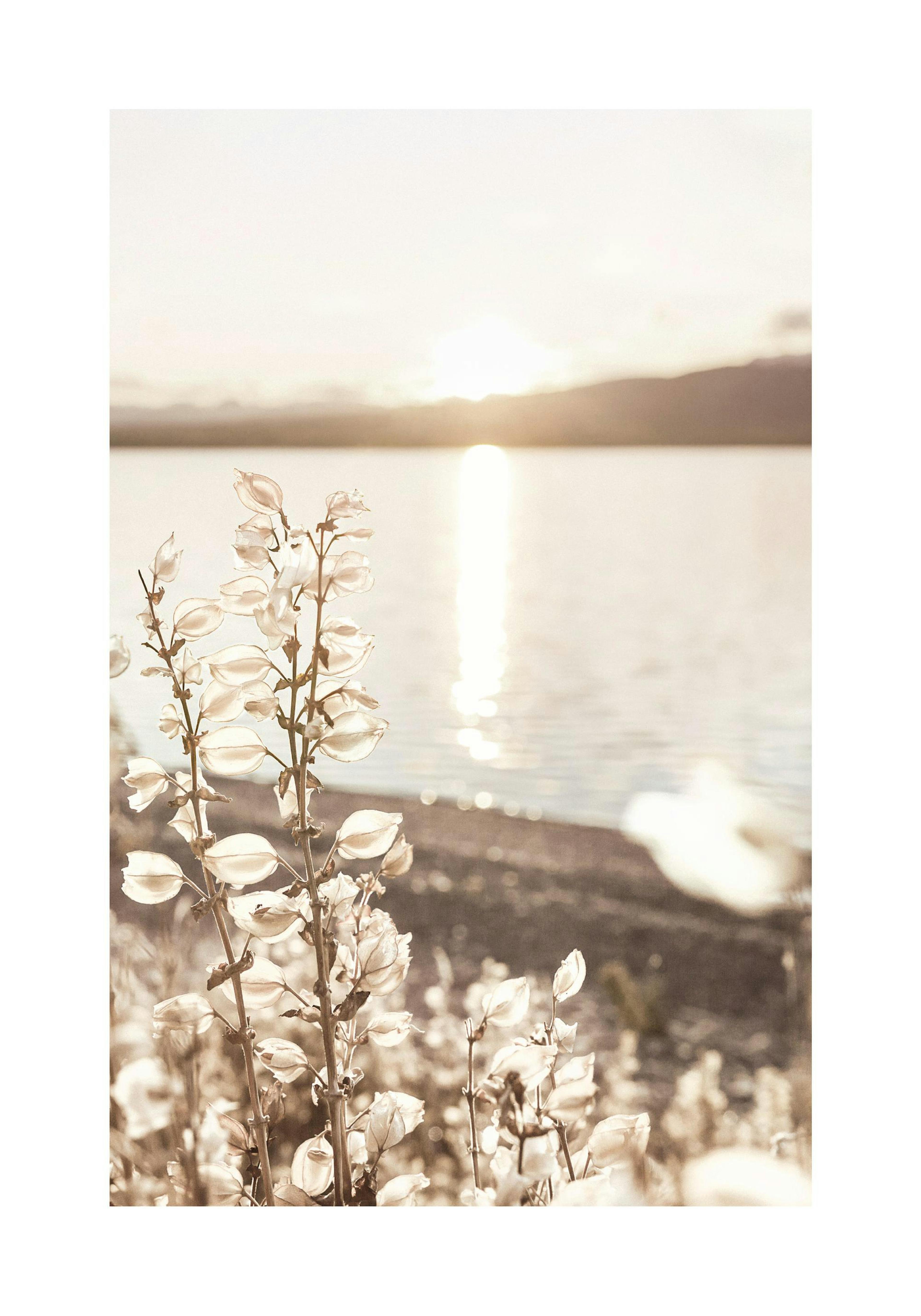 Product image: 1