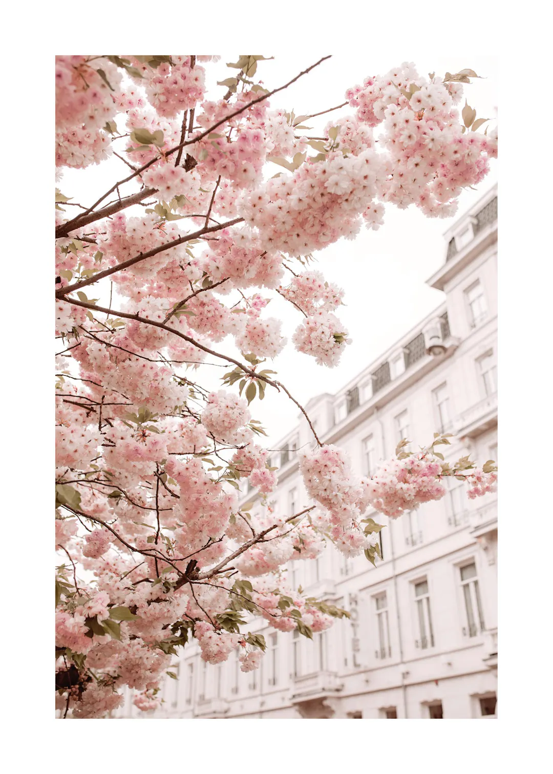 Love is All We Need Love Poster | Poster Store UK