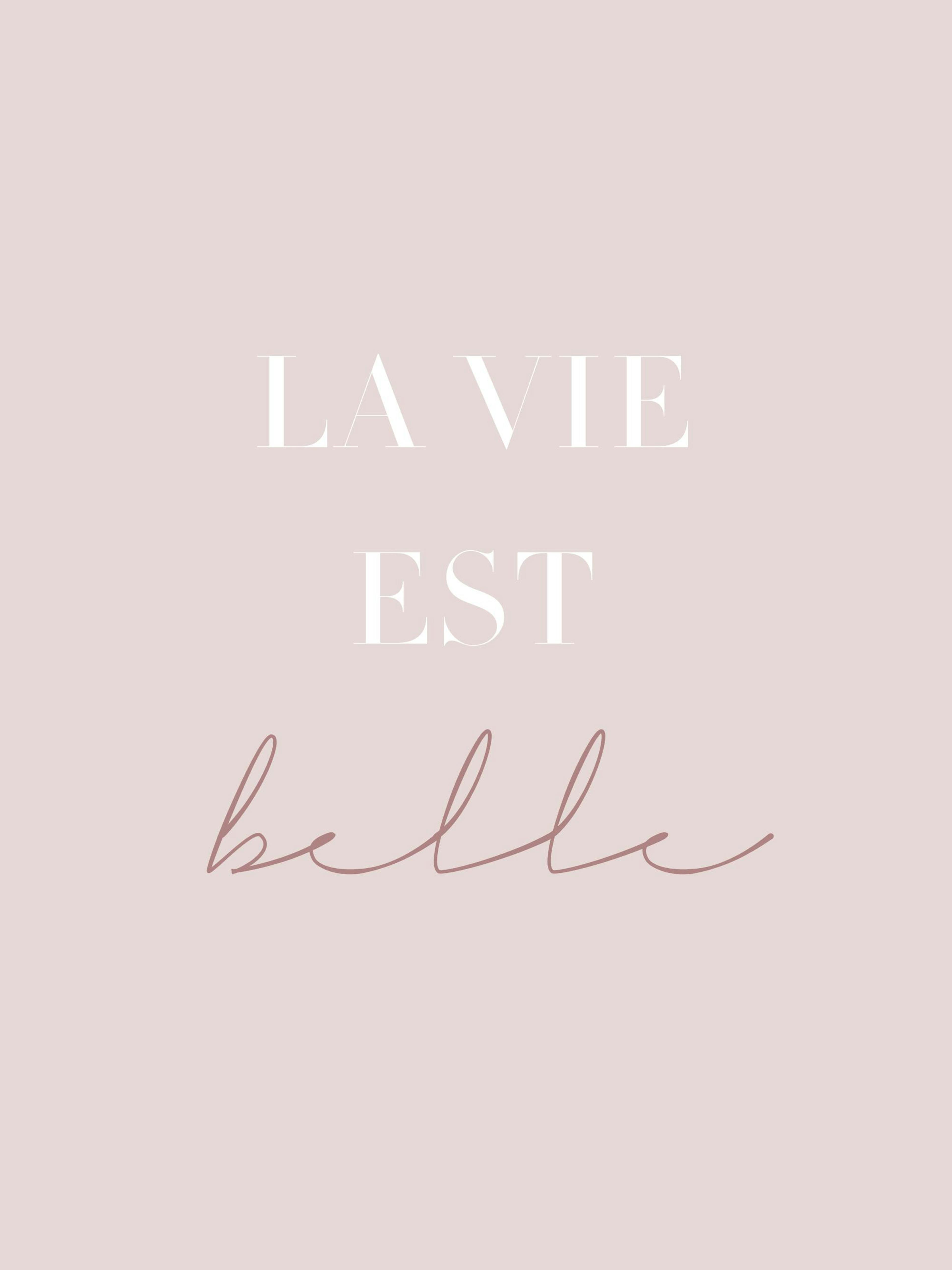 La Vie Est Belle Poster 0