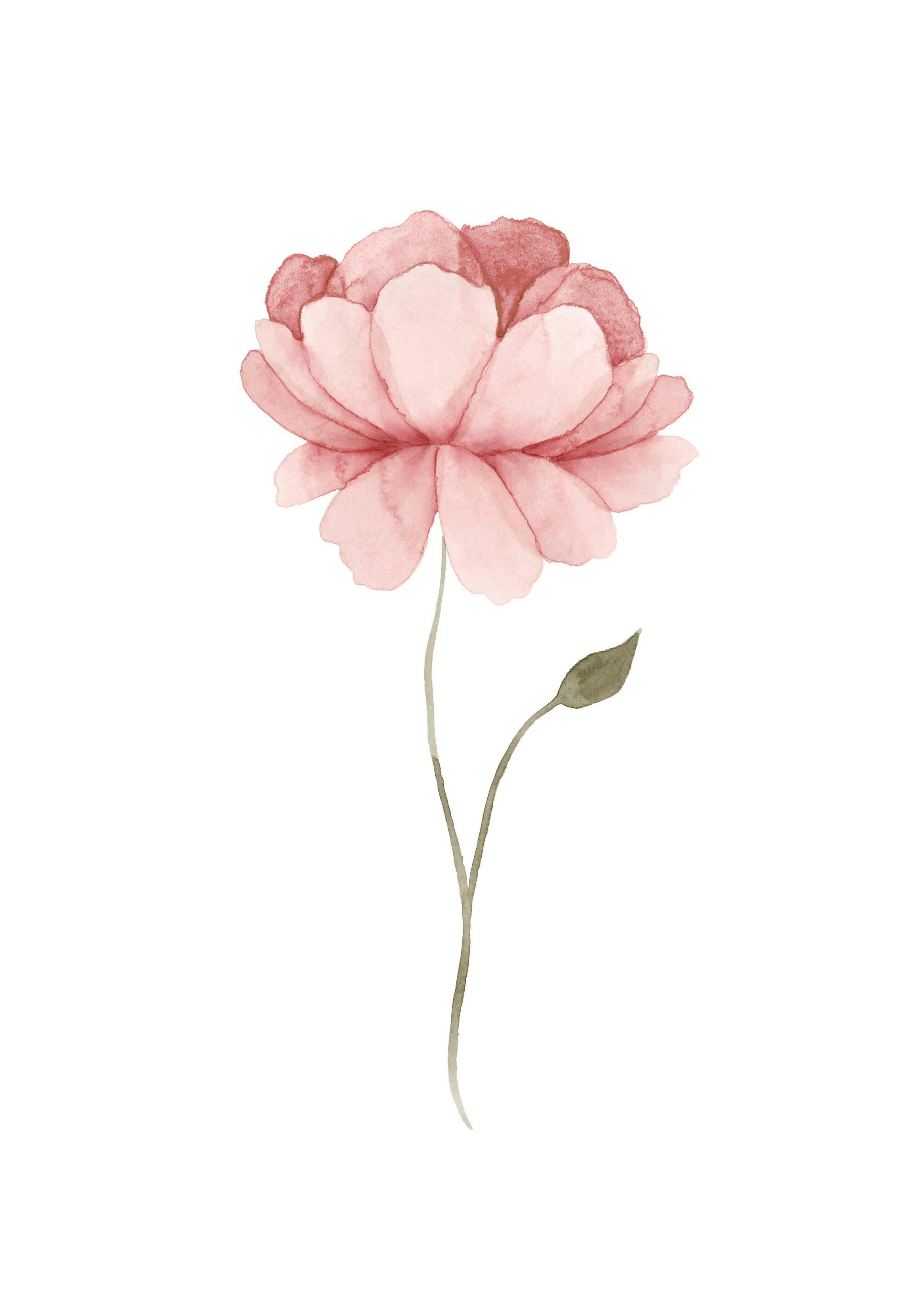 Product image: 1