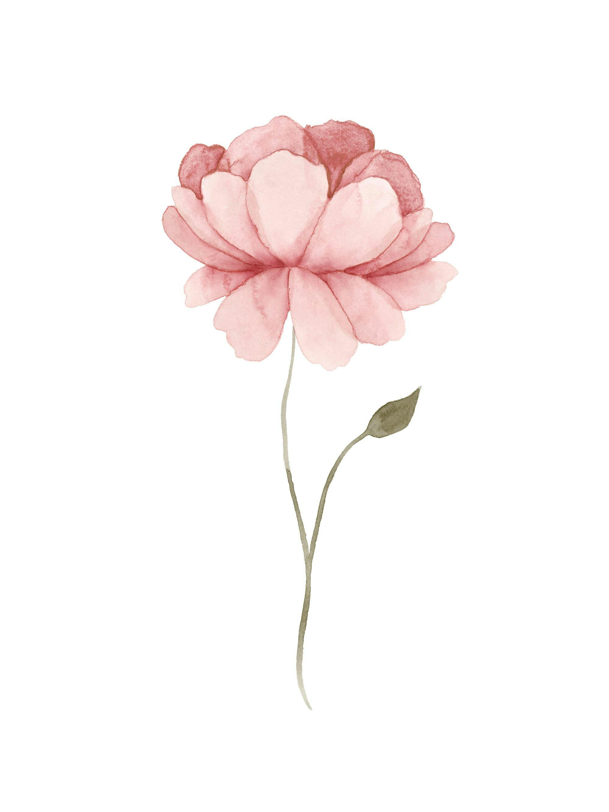 A delicate watercolor poster of a single pink peony flower with a slender stem and a small green leaf.