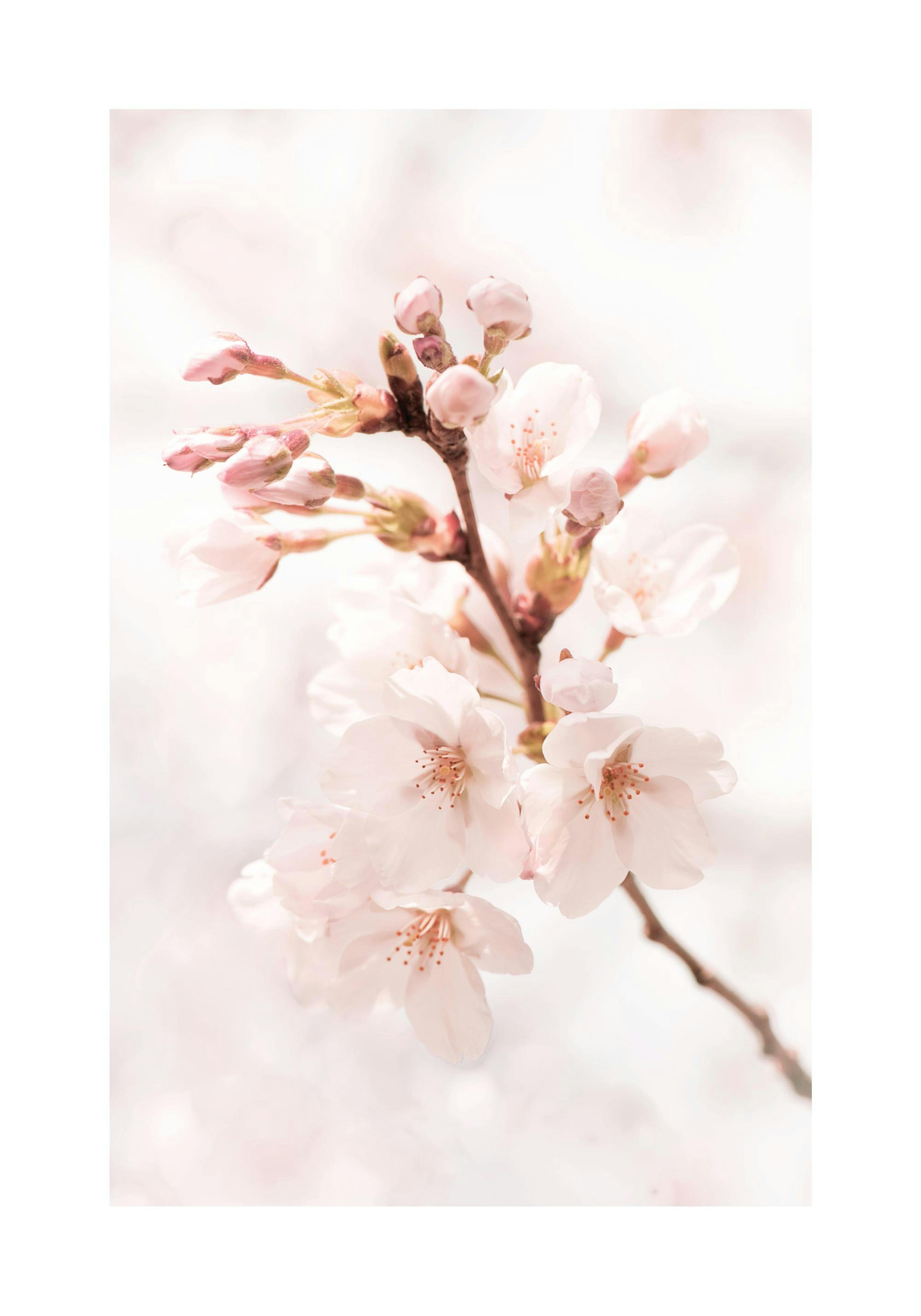 Product image: 1