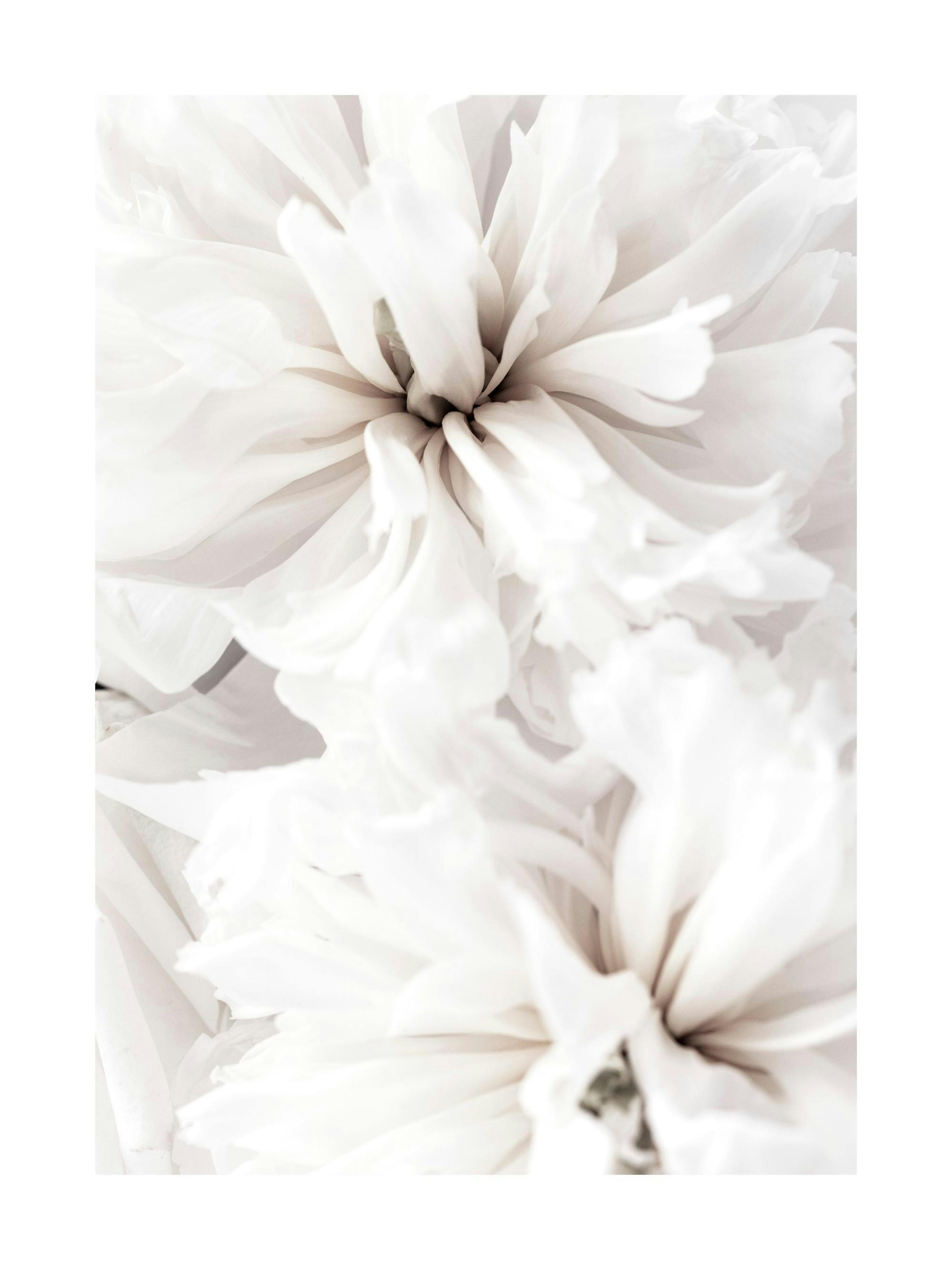 Product image: 1