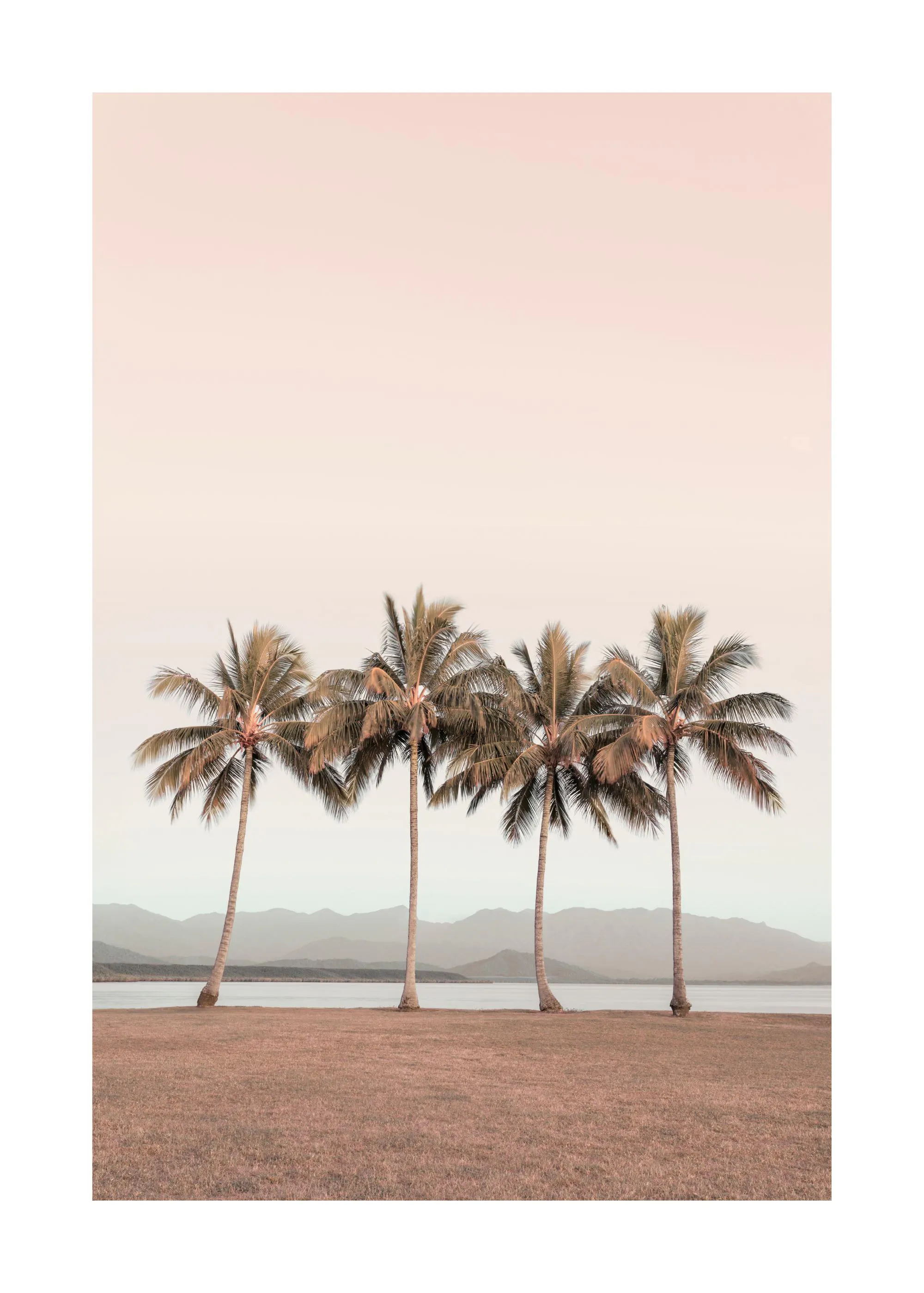 Trópusi hangulatú poster négy pálmafával, tóval és hegyekkel a pasztell rózsaszín égbolt alatt.