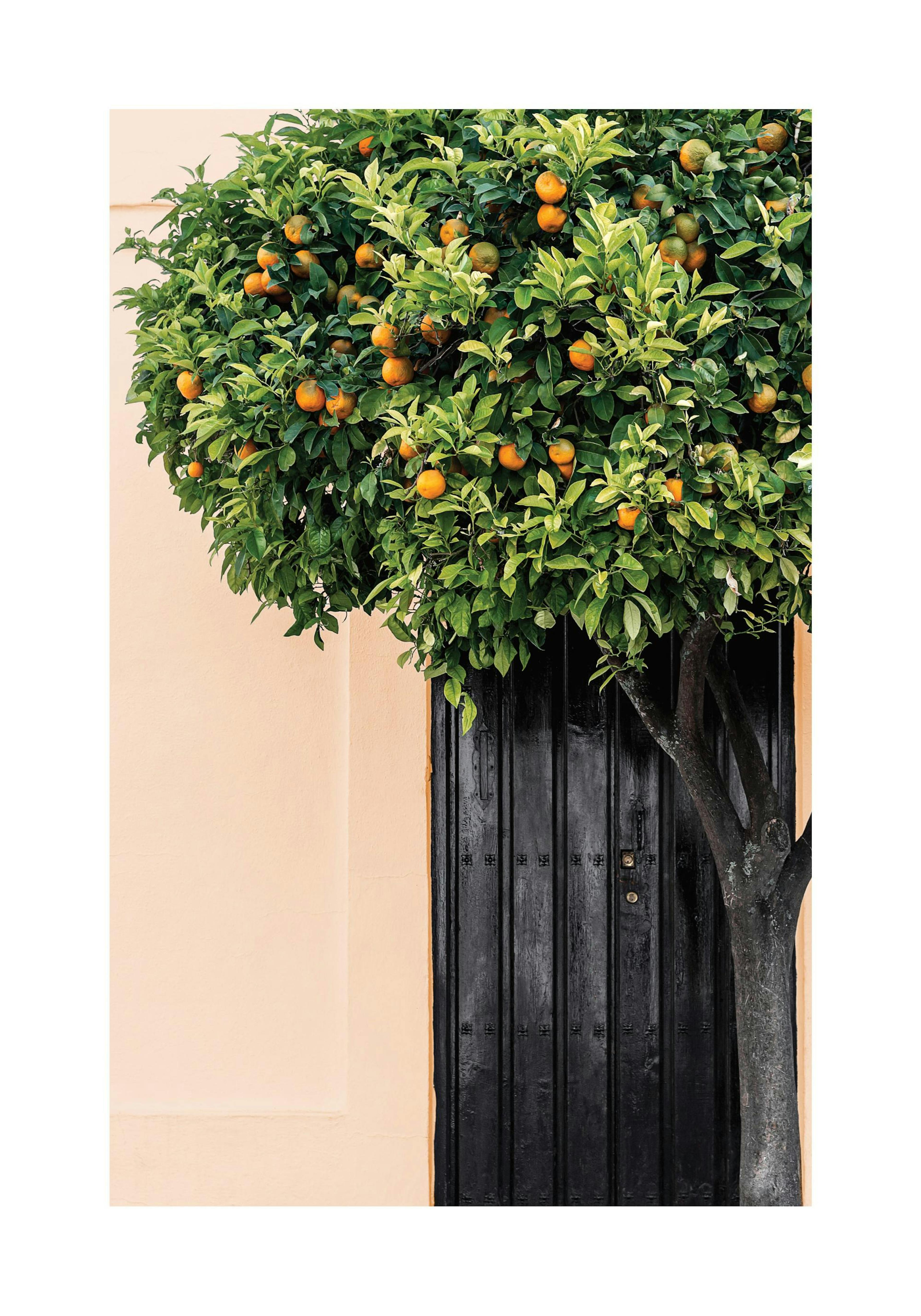 Product image: 1