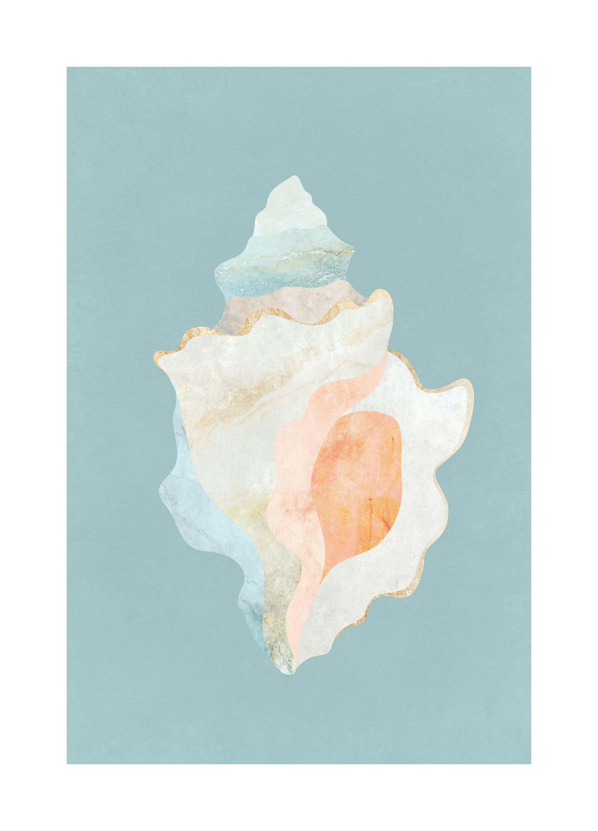 Coquillage Graphique Poster (50x70 cm) - Poster Store