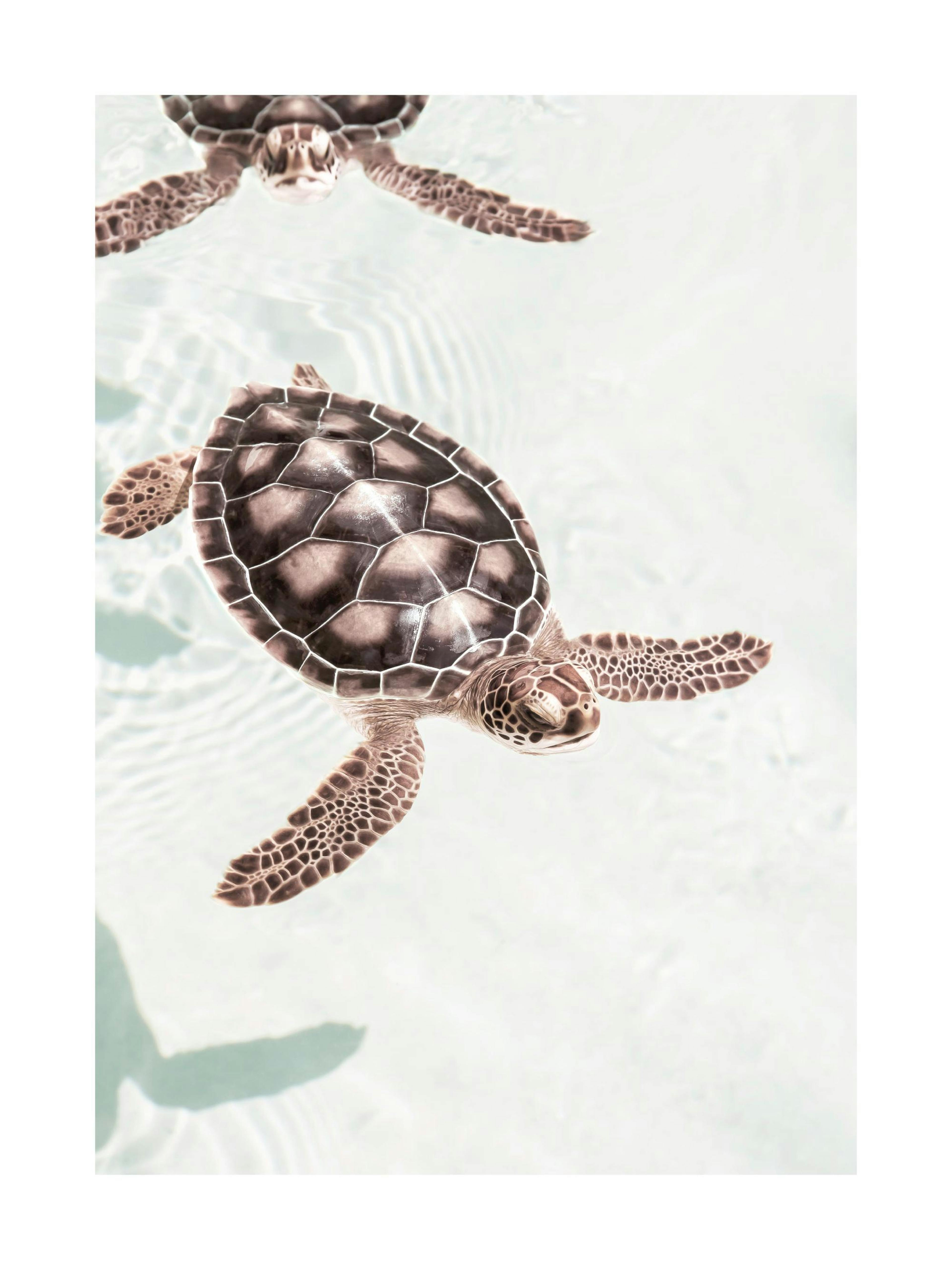 Product image: 1