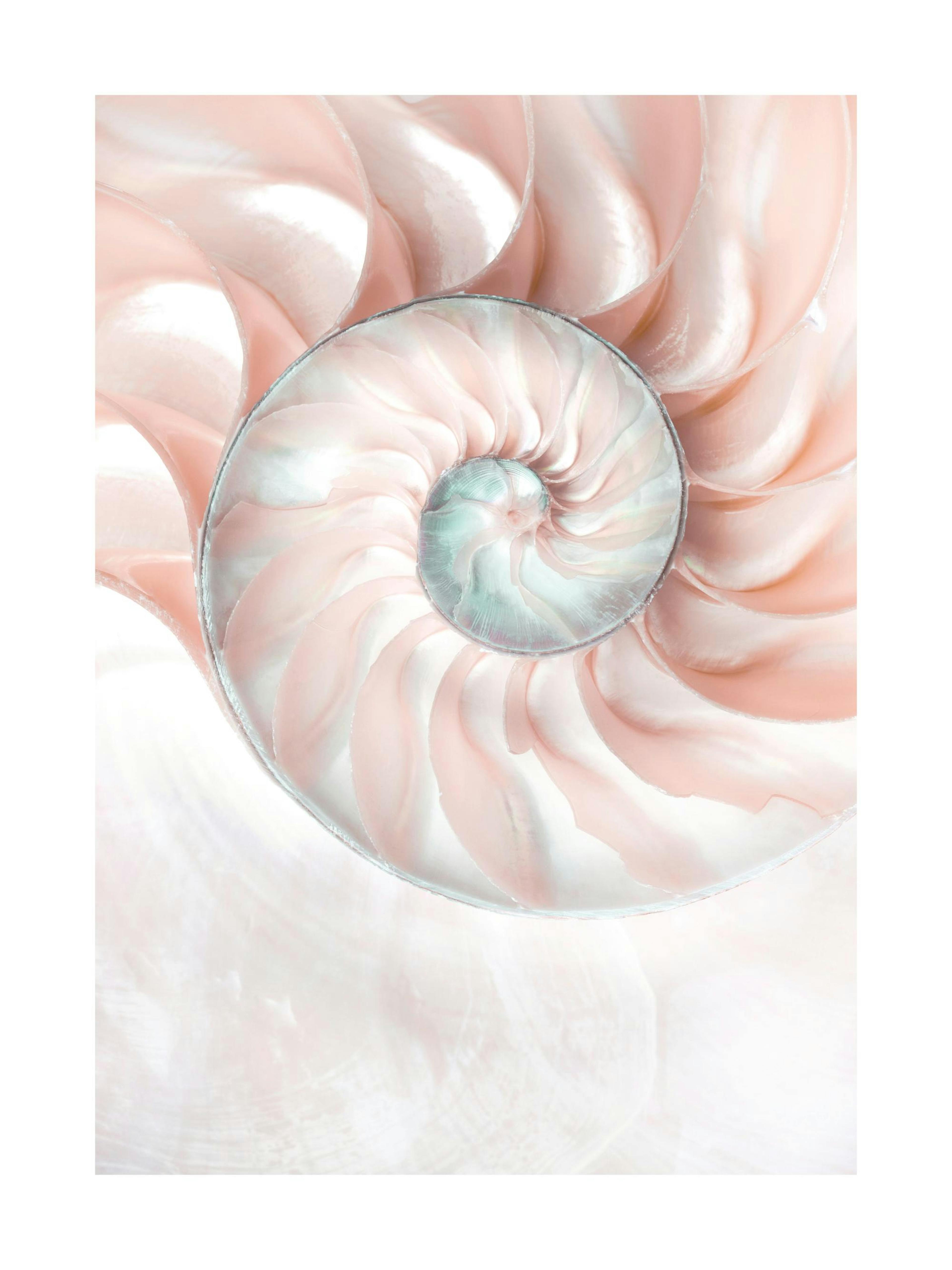 Product image: 1