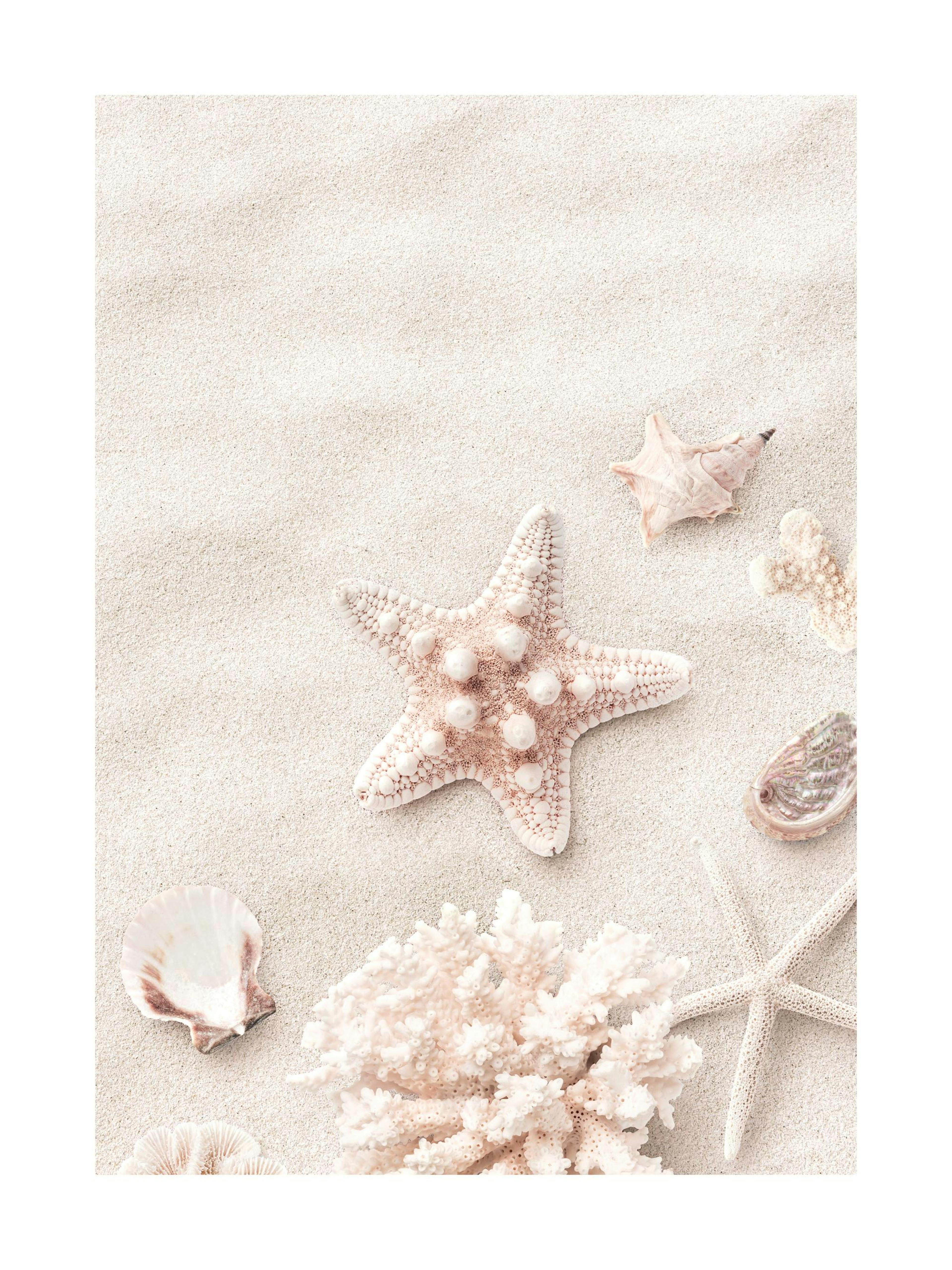 Étoile de Mer Rose Poster 0