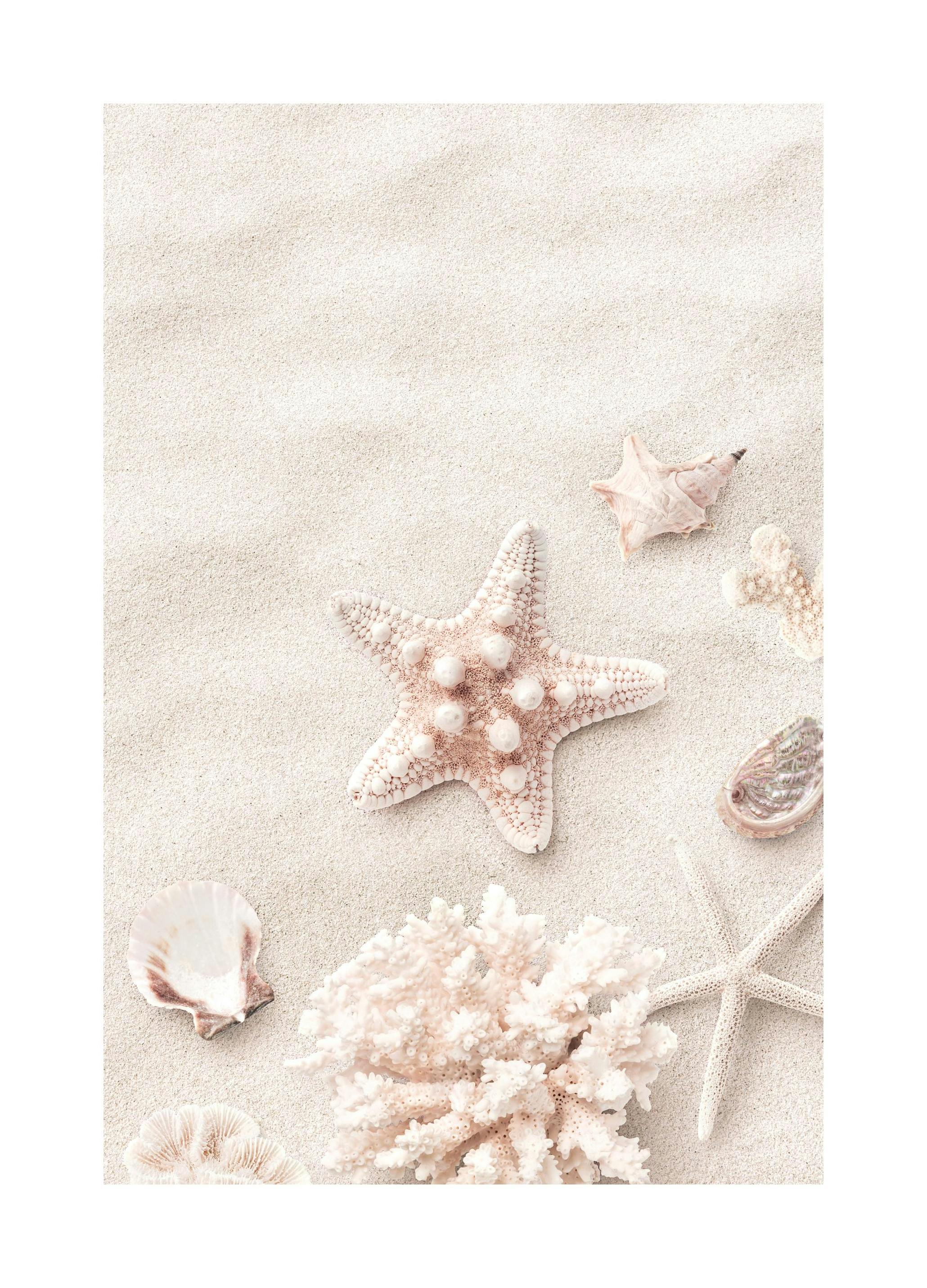 Pinker Seestern Poster (21x30 cm) - Poster Store